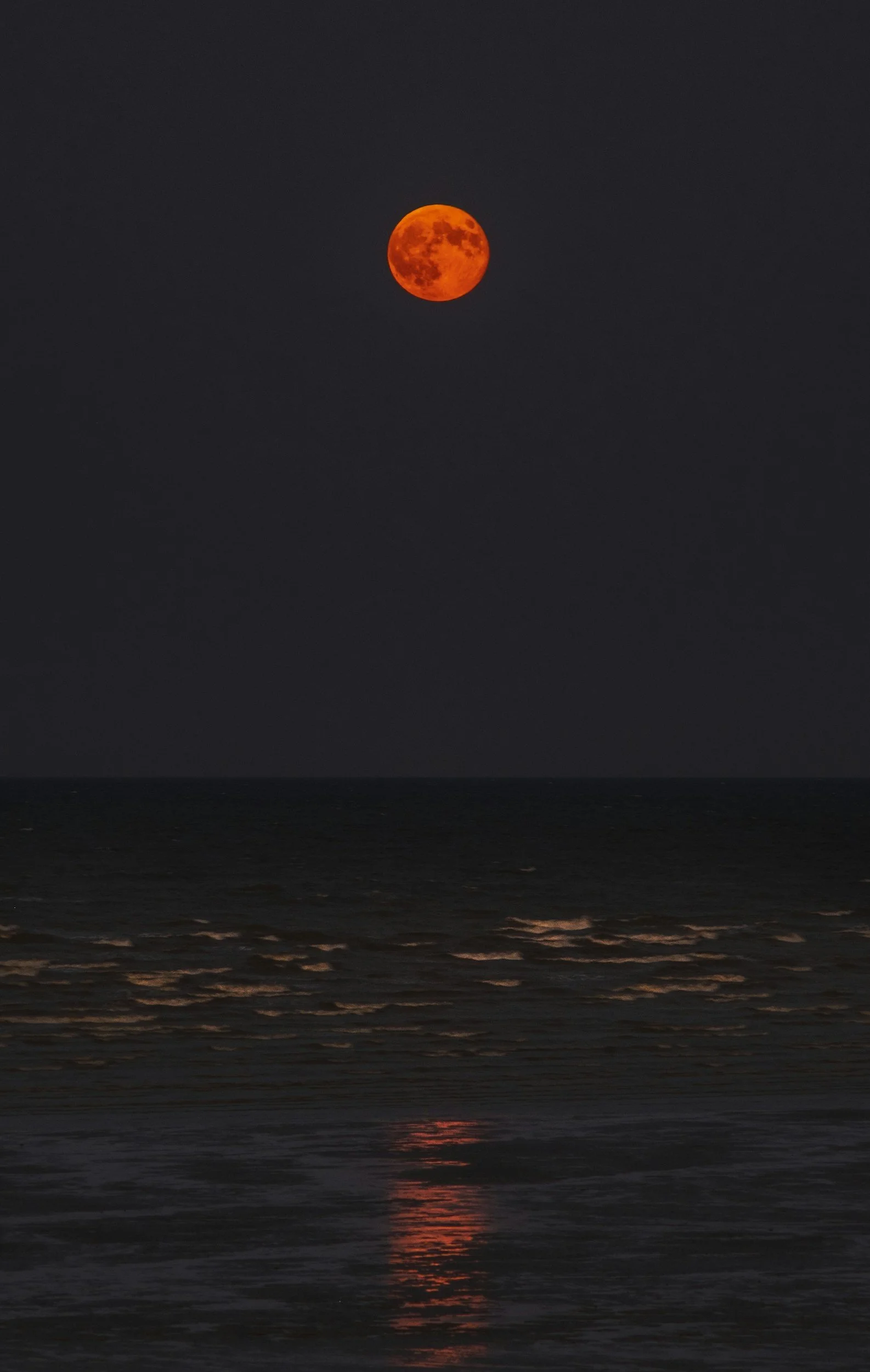 FullMoon Archive: March 三月