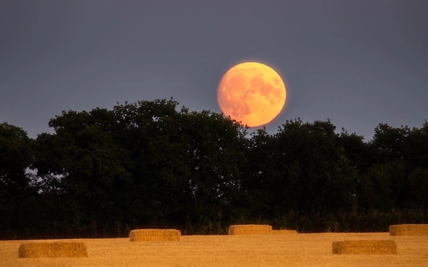 Full moon rising above a line of trees at dusk, with hay bales in the foreground.