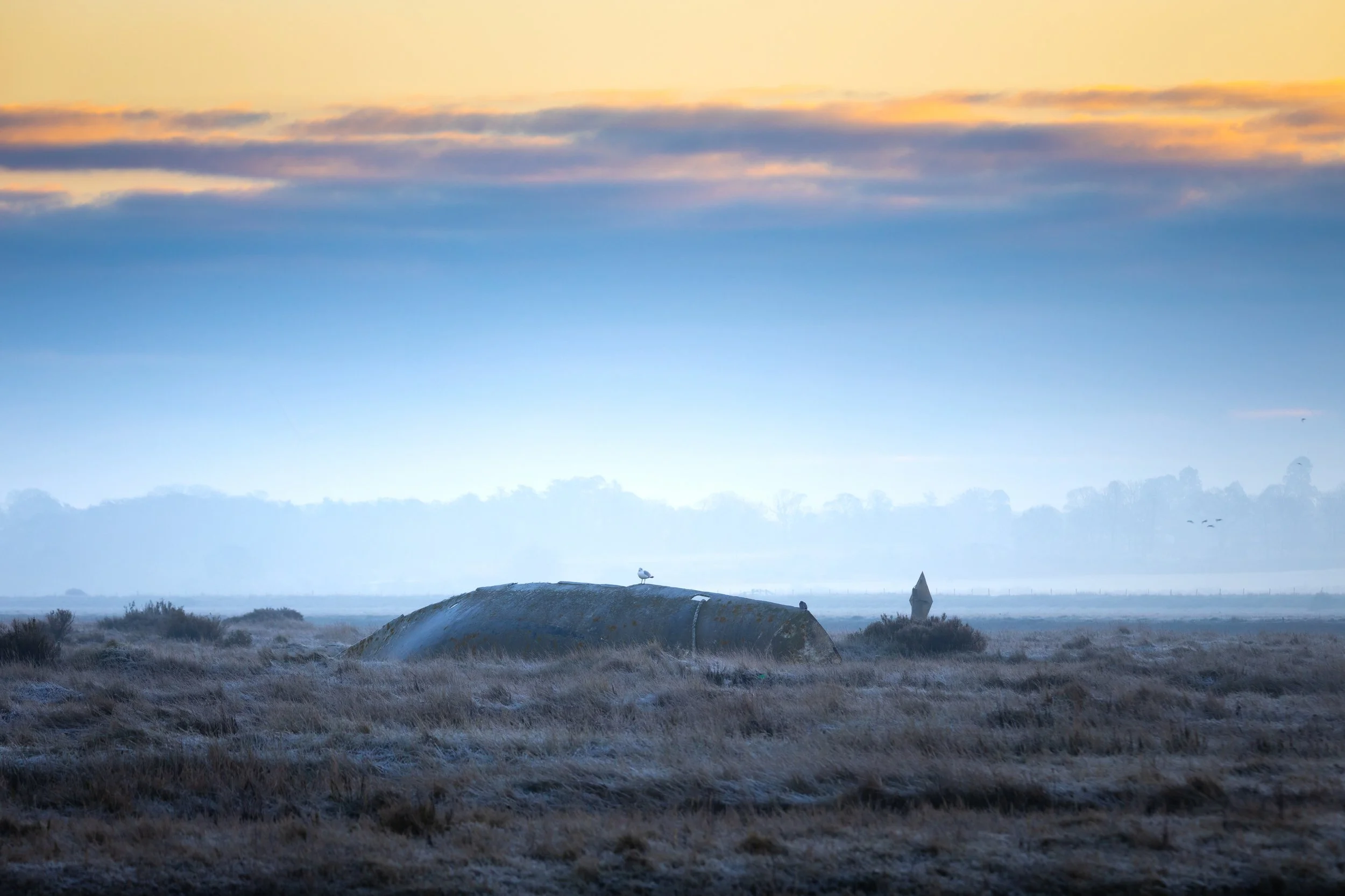 Frost-covered open field with an abandoned, dilapidated metal structure and a solitary bird perched on it, under a cloudy sky at dawn