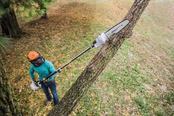 gas-pole-saw-the-ultimate-guide-for-tree-trimming.jpg