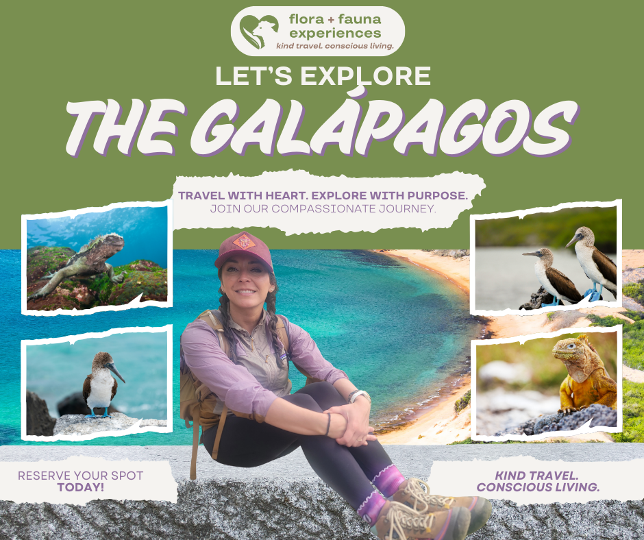 Galapagos with Flora + Fauna Experiences