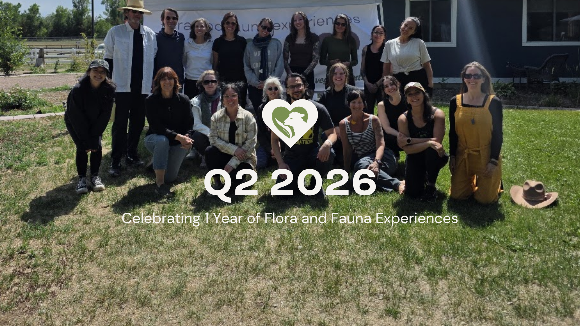 Celebrating 1 Year of Flora and Fauna Experiences