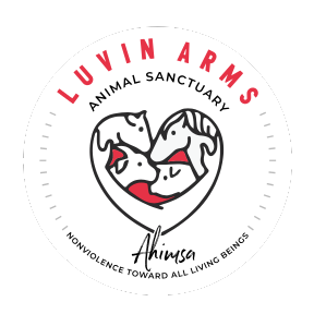 Luvin Arms Logo (1).png