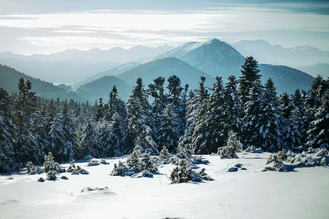 &middot;
&middot;
&middot;
&middot;
&middot;
#photography #winter #snow #landscape #photographysouls #landscape_lovers #photographylovers #love #nature #landscapephotography #photographyislife #wintertime #landscapes #photographylover #winterishere #