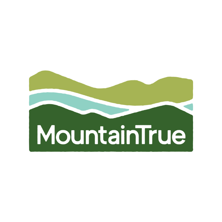 mountaintrue logo pk.png