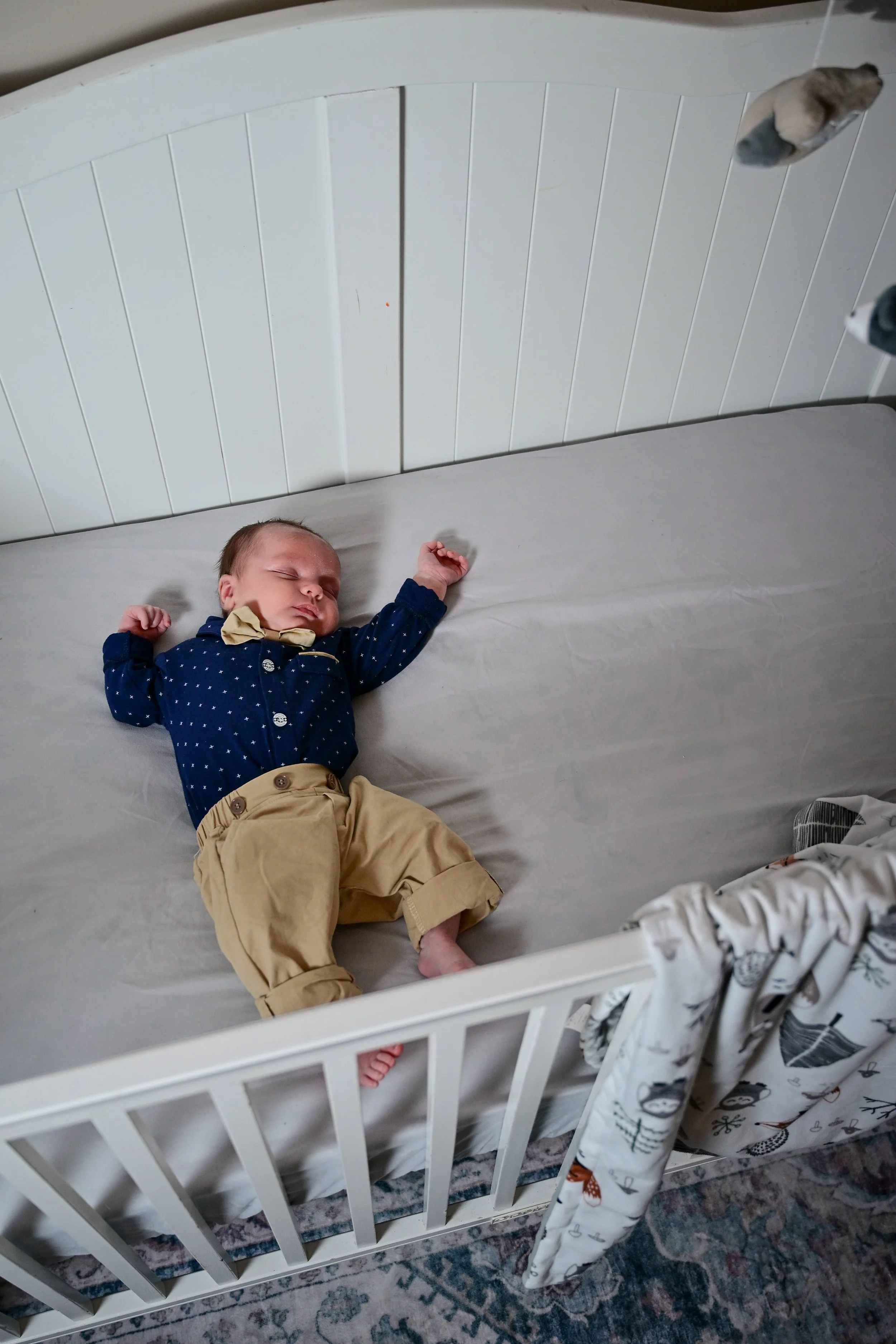 Newborn/ Lifestyle