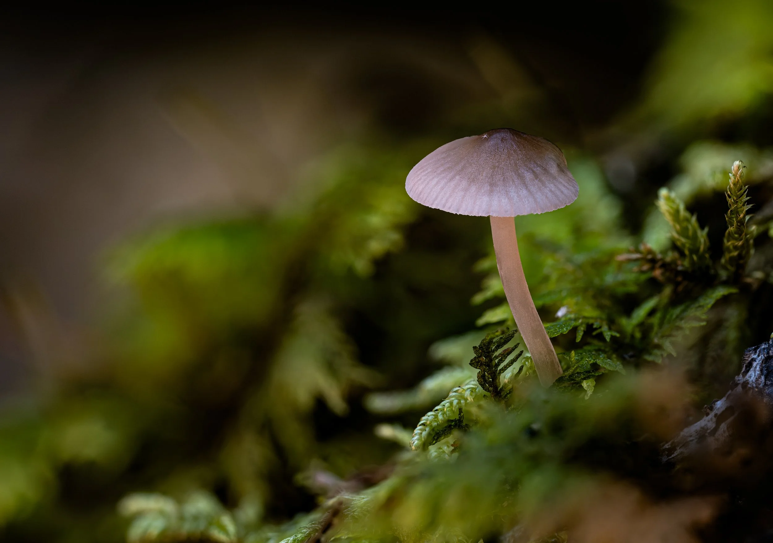 2024-09-28 14-50-41 (B,R8,S4)-Edit.jpg