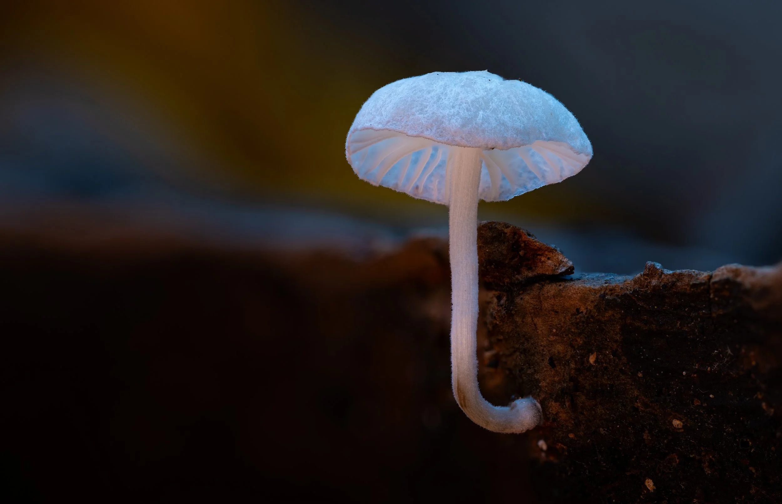 2024-09-28 18-22-10 (B,R8,S4).jpg