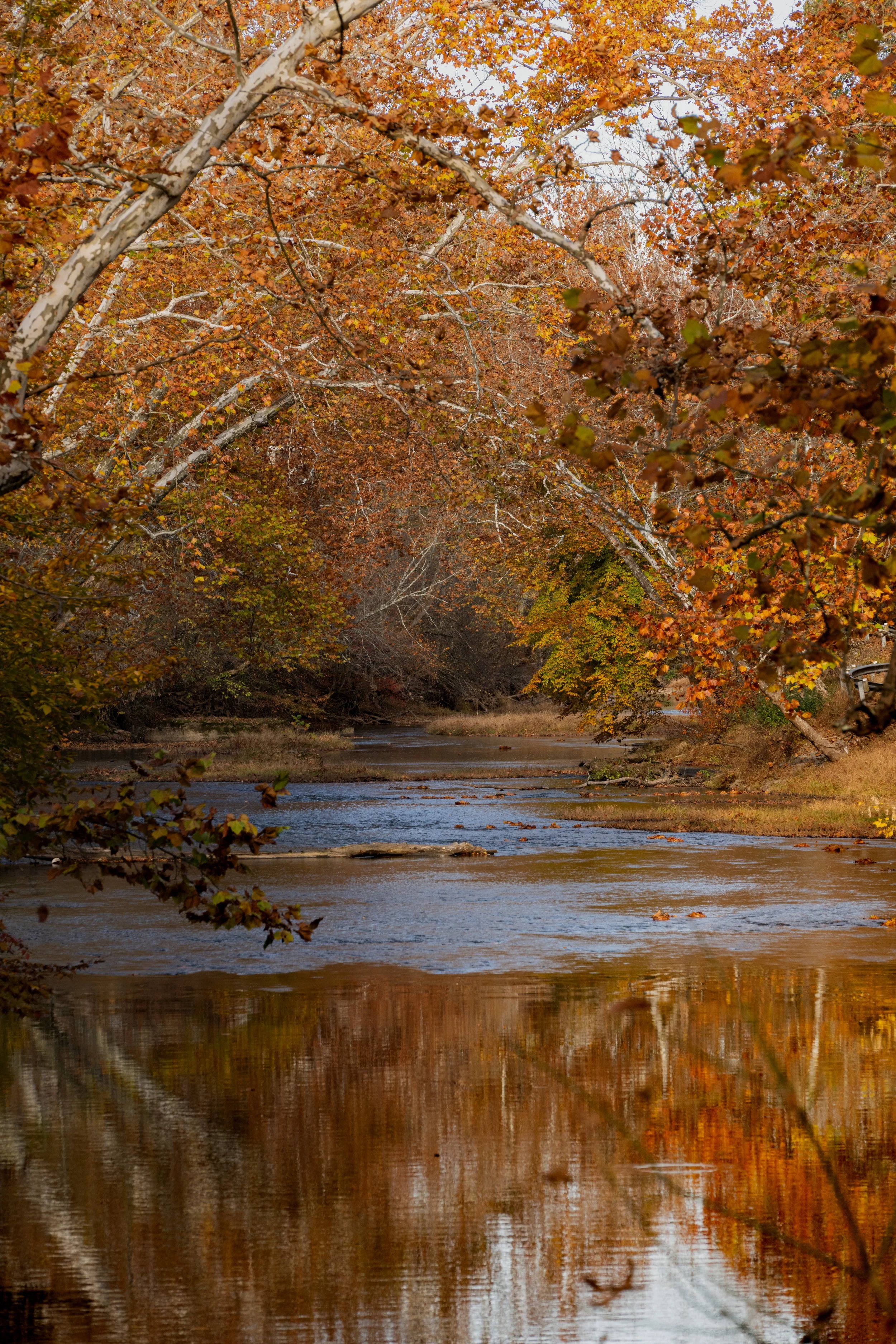 Landscape Images-5.jpg