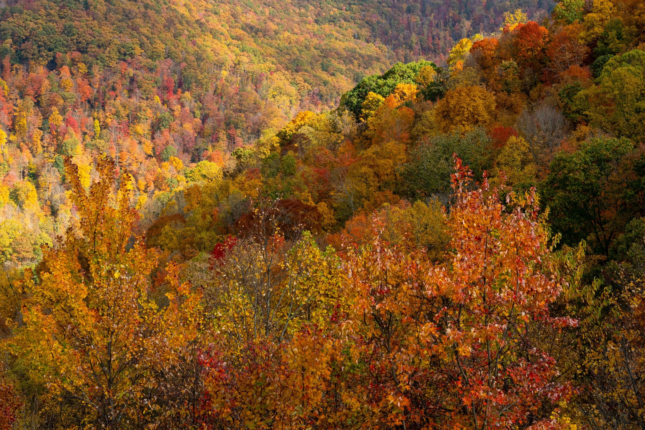 Landscape Images-4.jpg