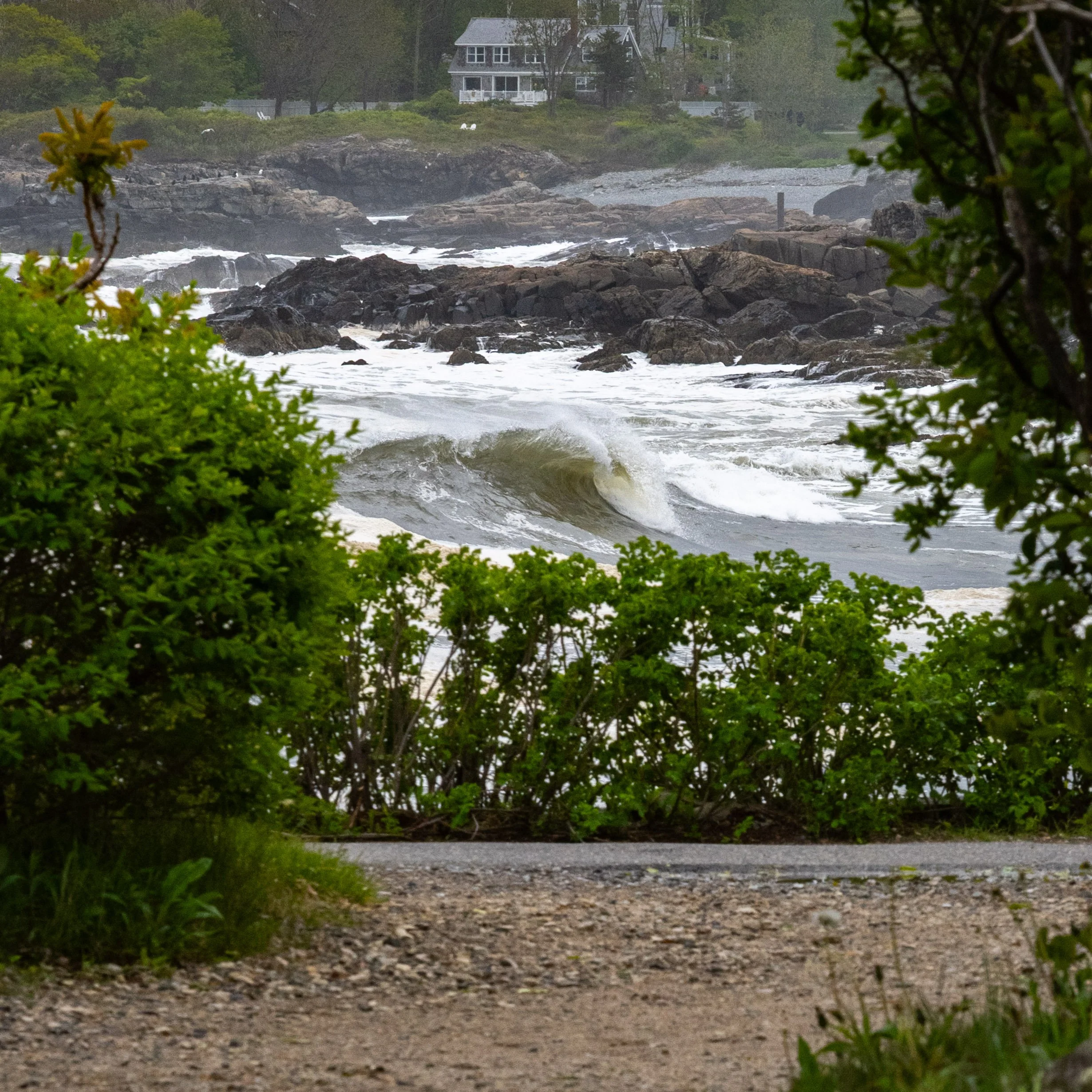 maine-102.jpg