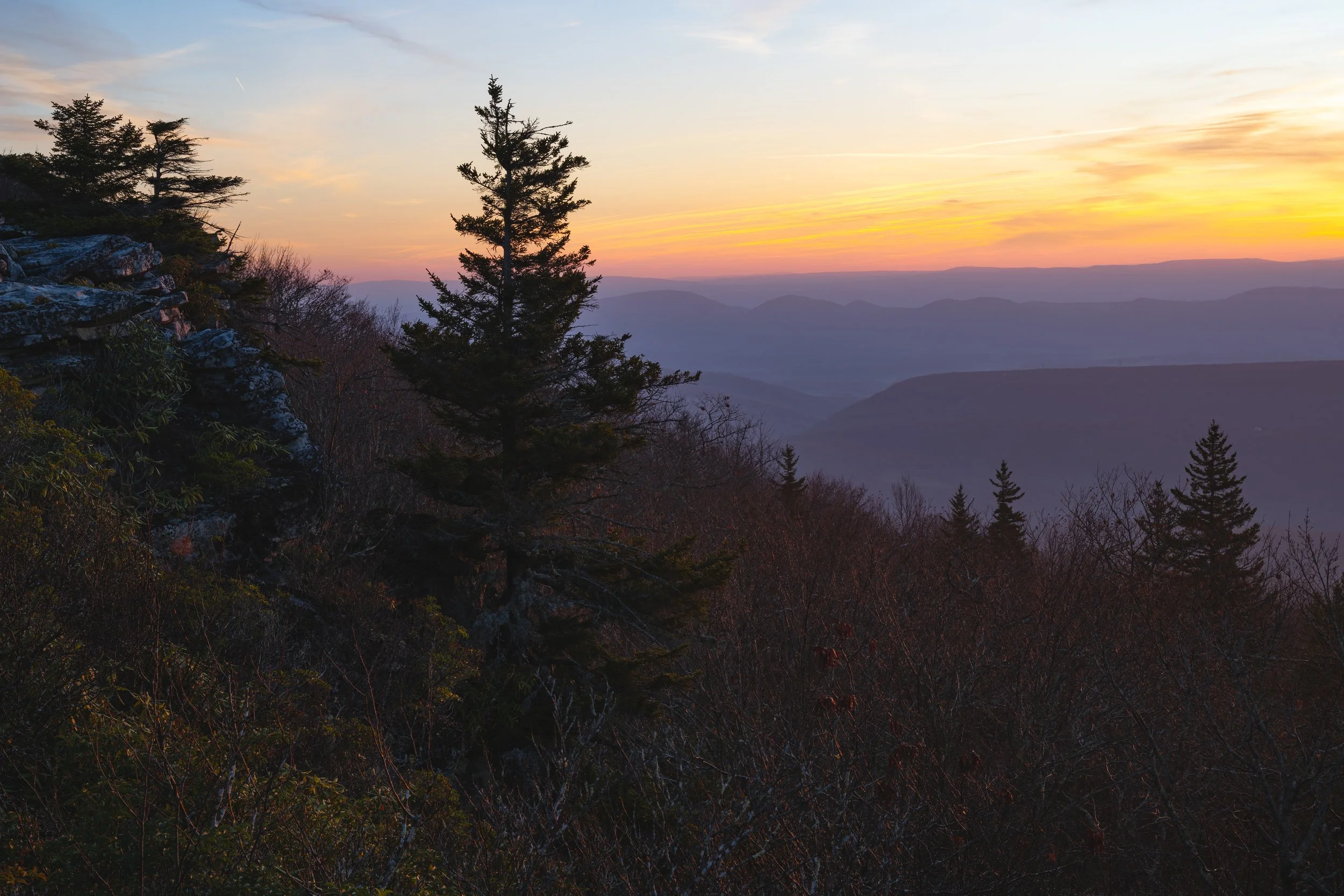 Landscape Images-6.jpg