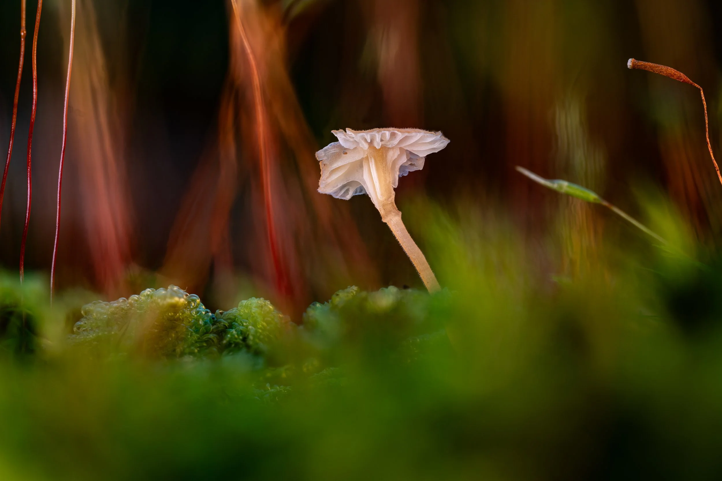 2024-10-05 15-08-04 (B,R8,S4).jpg