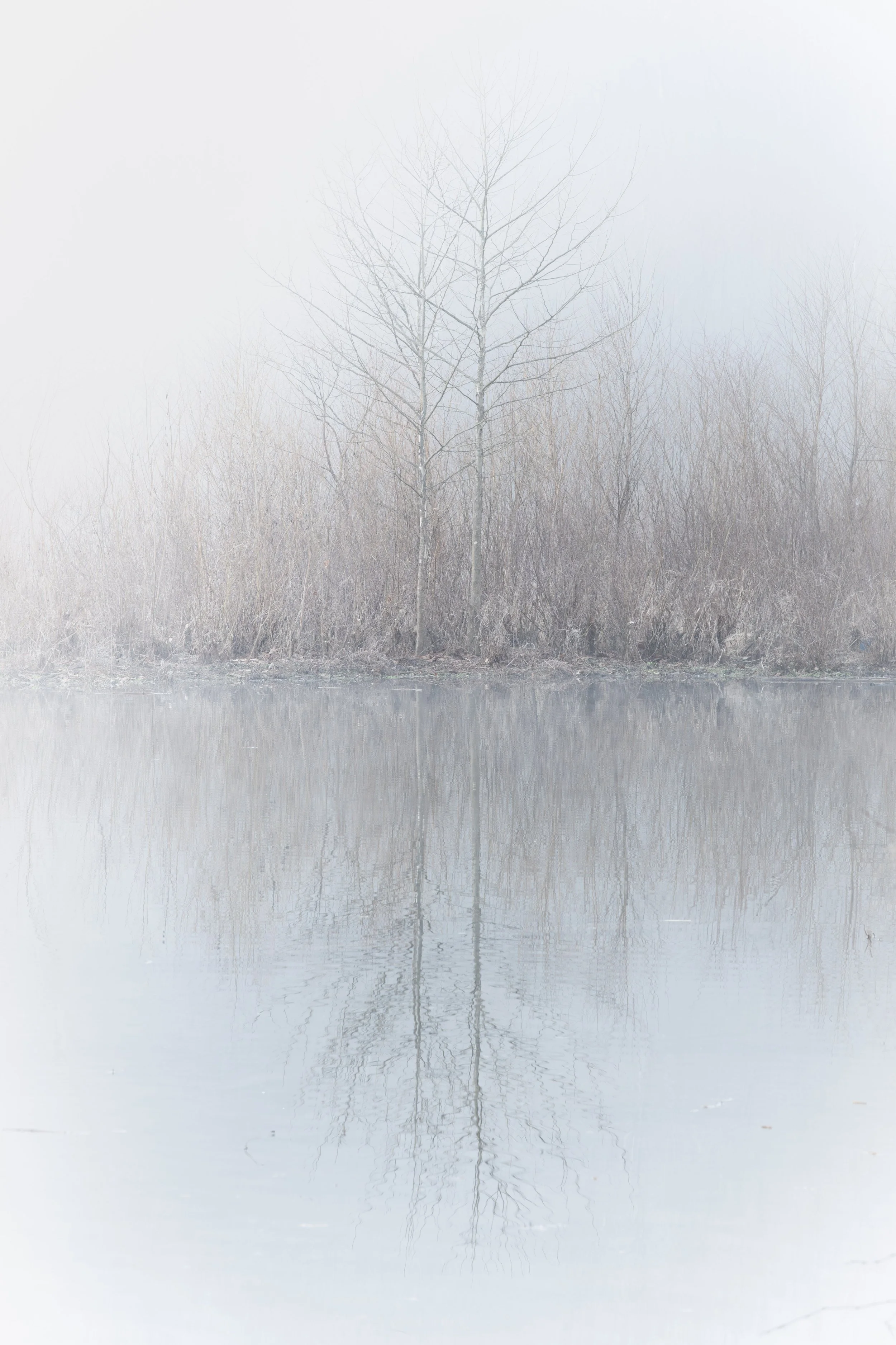 Landscape-100.jpg