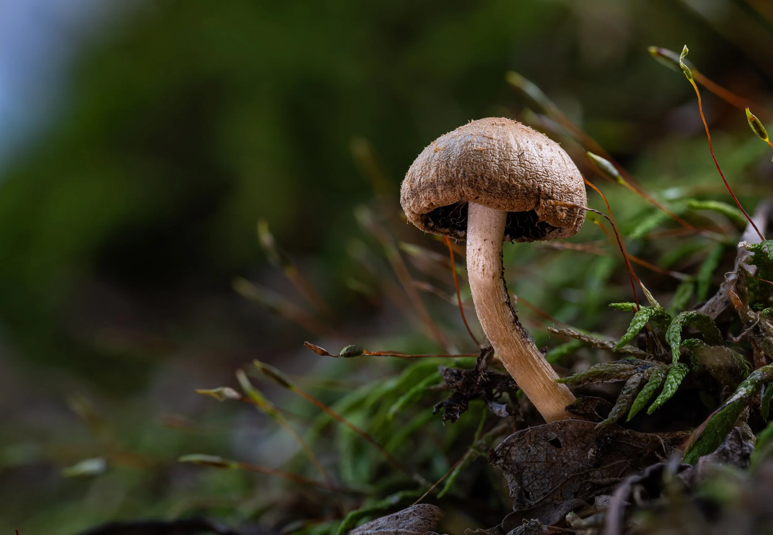 2024-10-13 22-54-56 (B,R8,S4).jpg