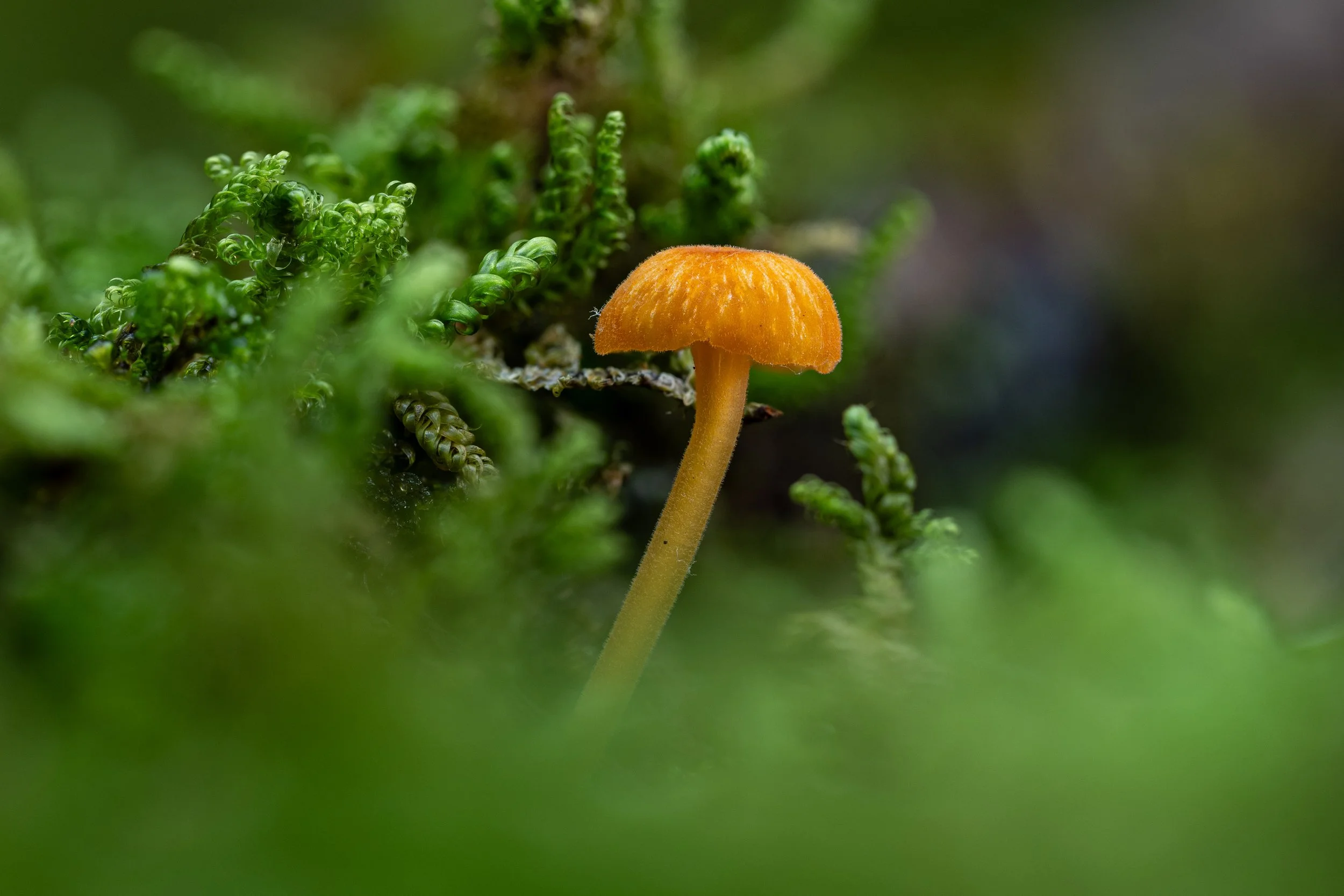 untitled--10.jpg