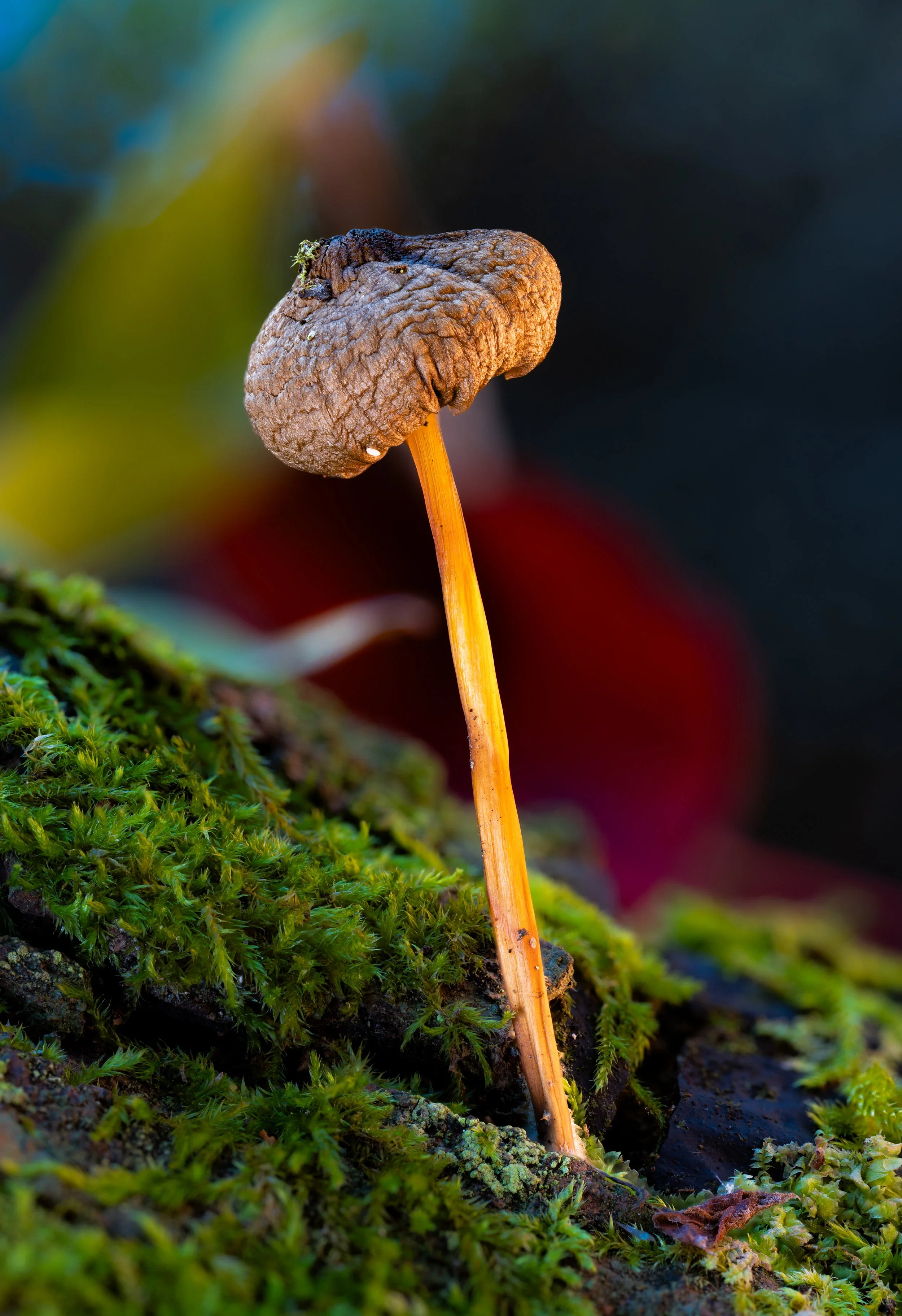 2024-10-13 23-14-06 (B,R8,S4).jpg