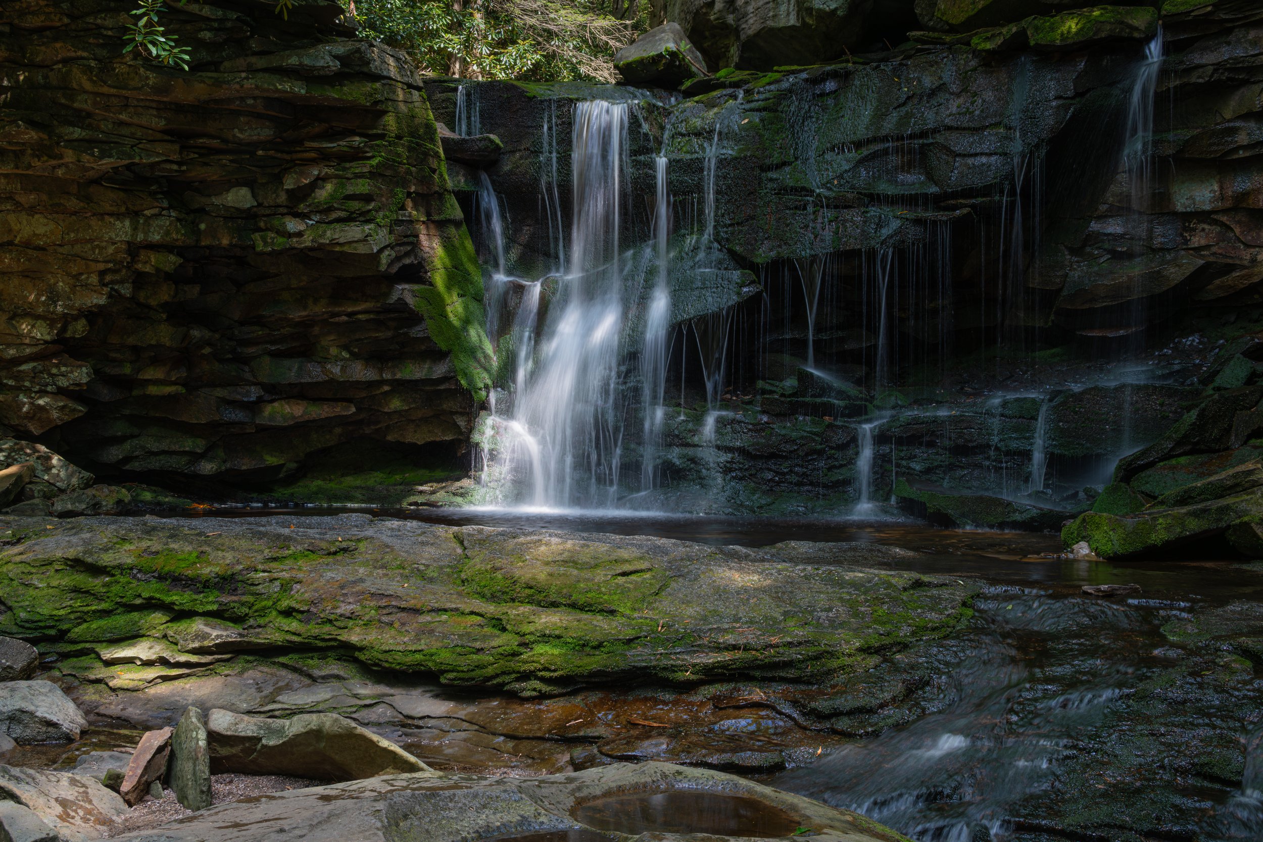 Landscape Images.jpg