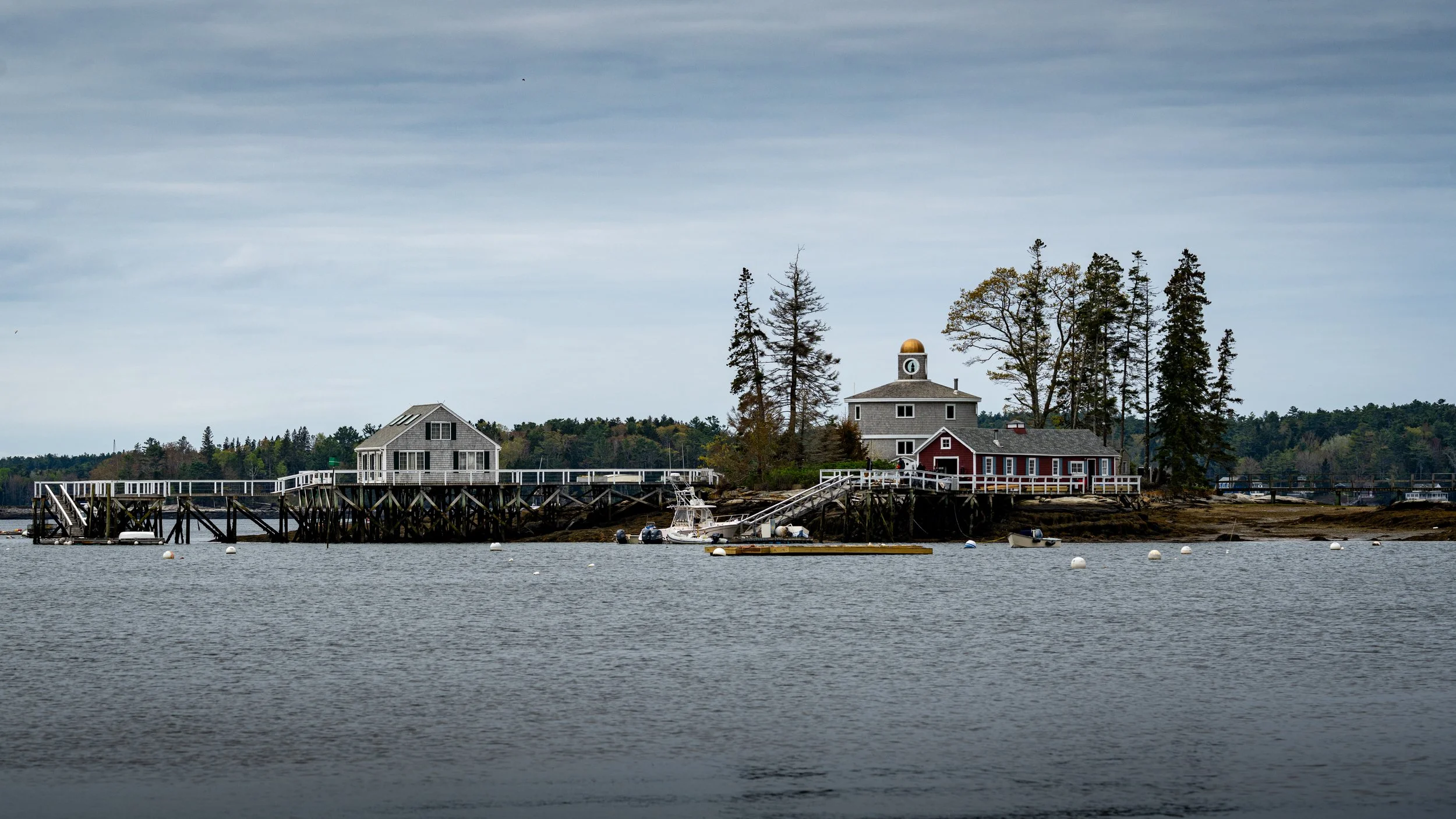 Maine 2025-17.jpg