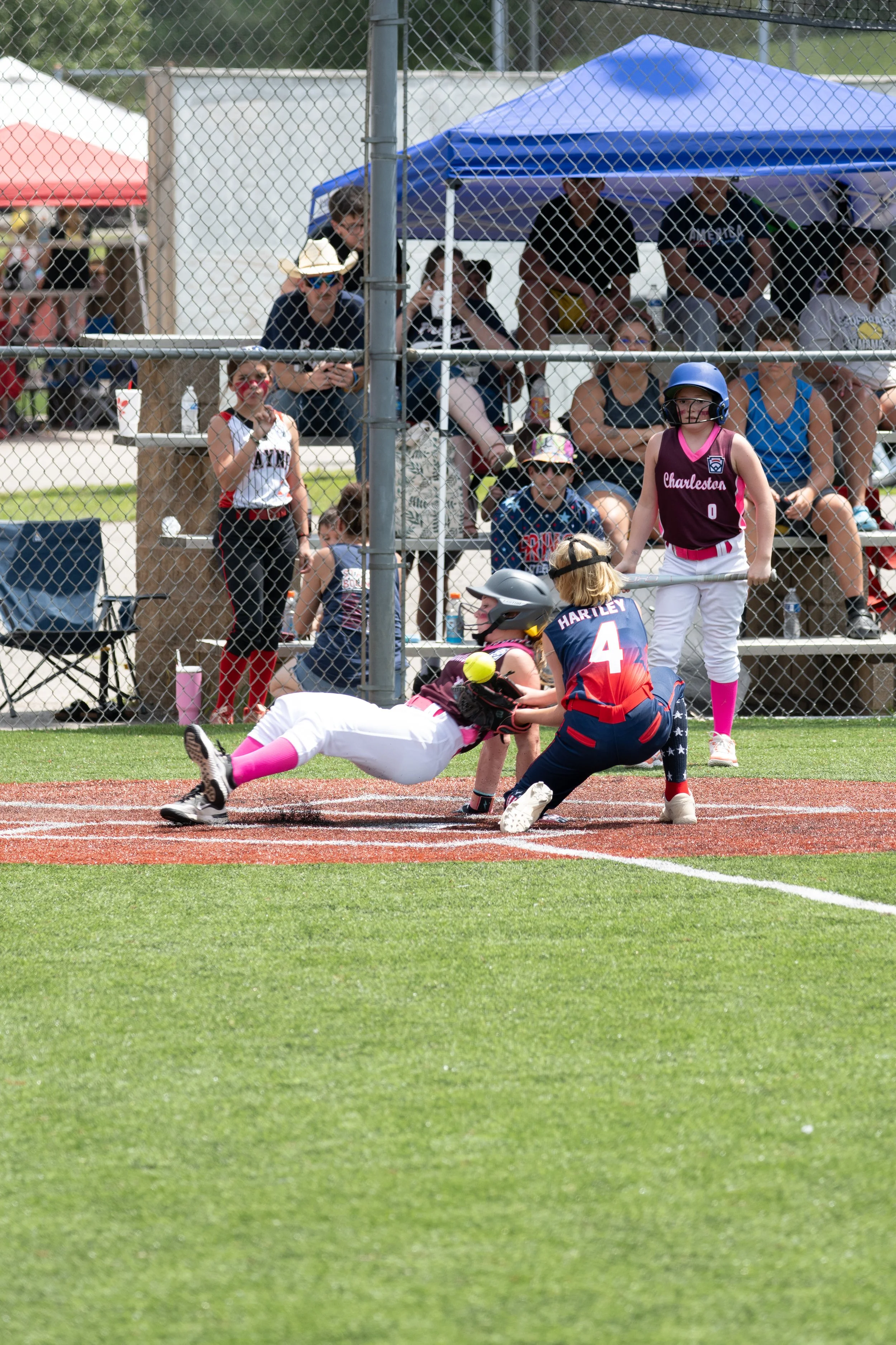 Jocelyn Hartley-12.jpg