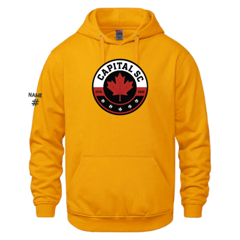 2026-07-13 11_34_11-Vault Unisex Capital SC Crest Printed Hoodie National Capital Sports Club.png
