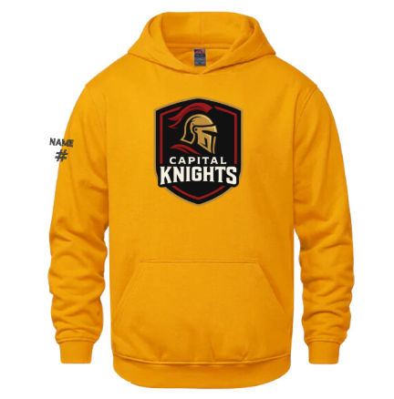 Vault Youth Knights Crest Printed Hoodie