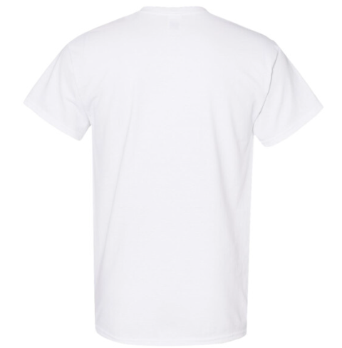2026-07-14 08_35_12-Gildan Unisex Knights Emblem Printed T-Shirt National Capital Sports Club.png
