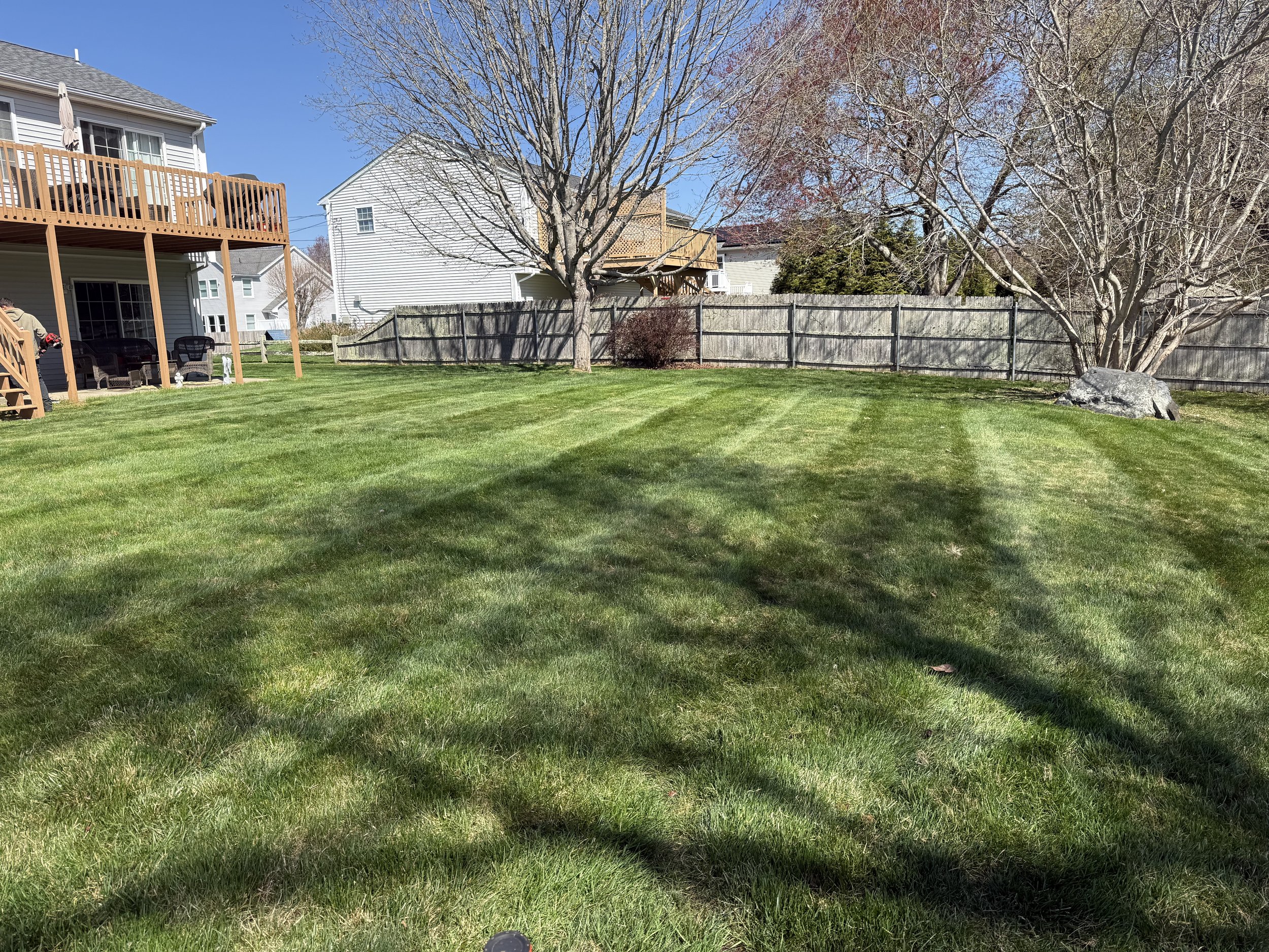 A backyard with a green lawn, a wooden deck attached to a house, and two large trees with no leaves. A wooden fence surrounds the yard, and there are neighboring houses visible in the background. The sky is clear and blue.