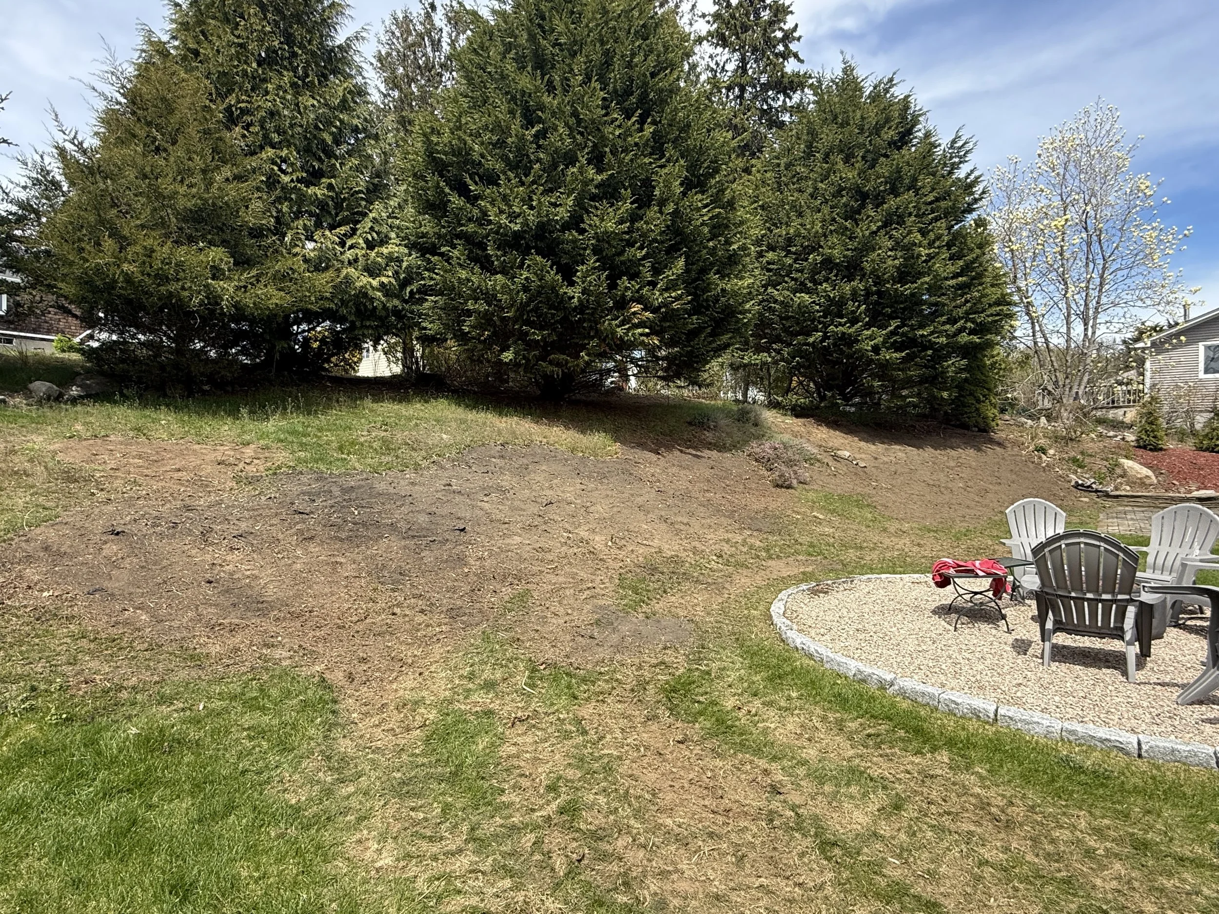 Backyard with large evergreen trees, a small patio with chairs and a table, and a house in the background.