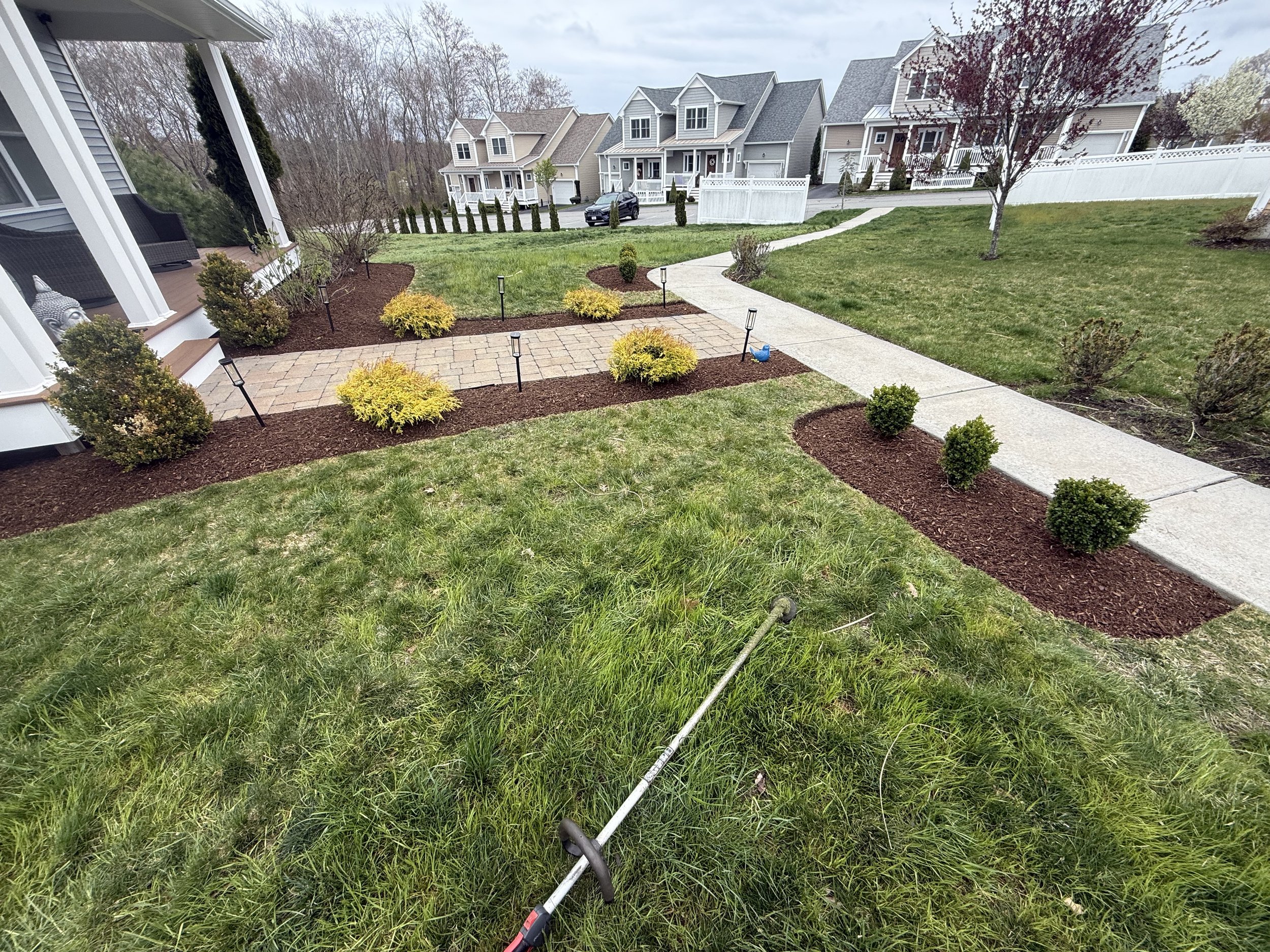 View of a residential yard with a brick walkway, small bushes, newly planted trees, and a string trimmer lying on the grass. In the background, there are several houses, a driveway with a car, and a wooded area.