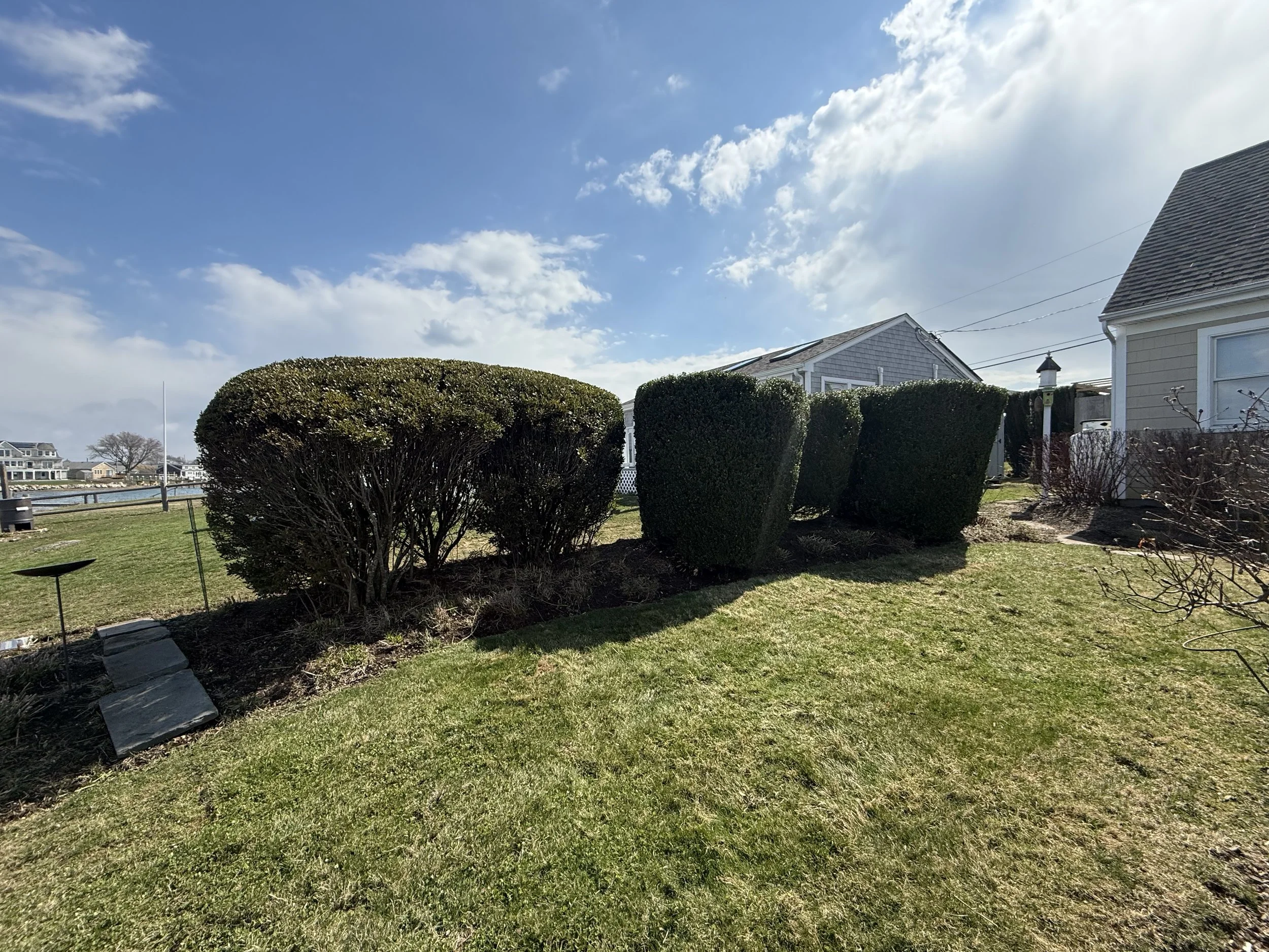 A backyard with trimmed bushes, a green lawn, and neighboring houses under a partly cloudy sky.