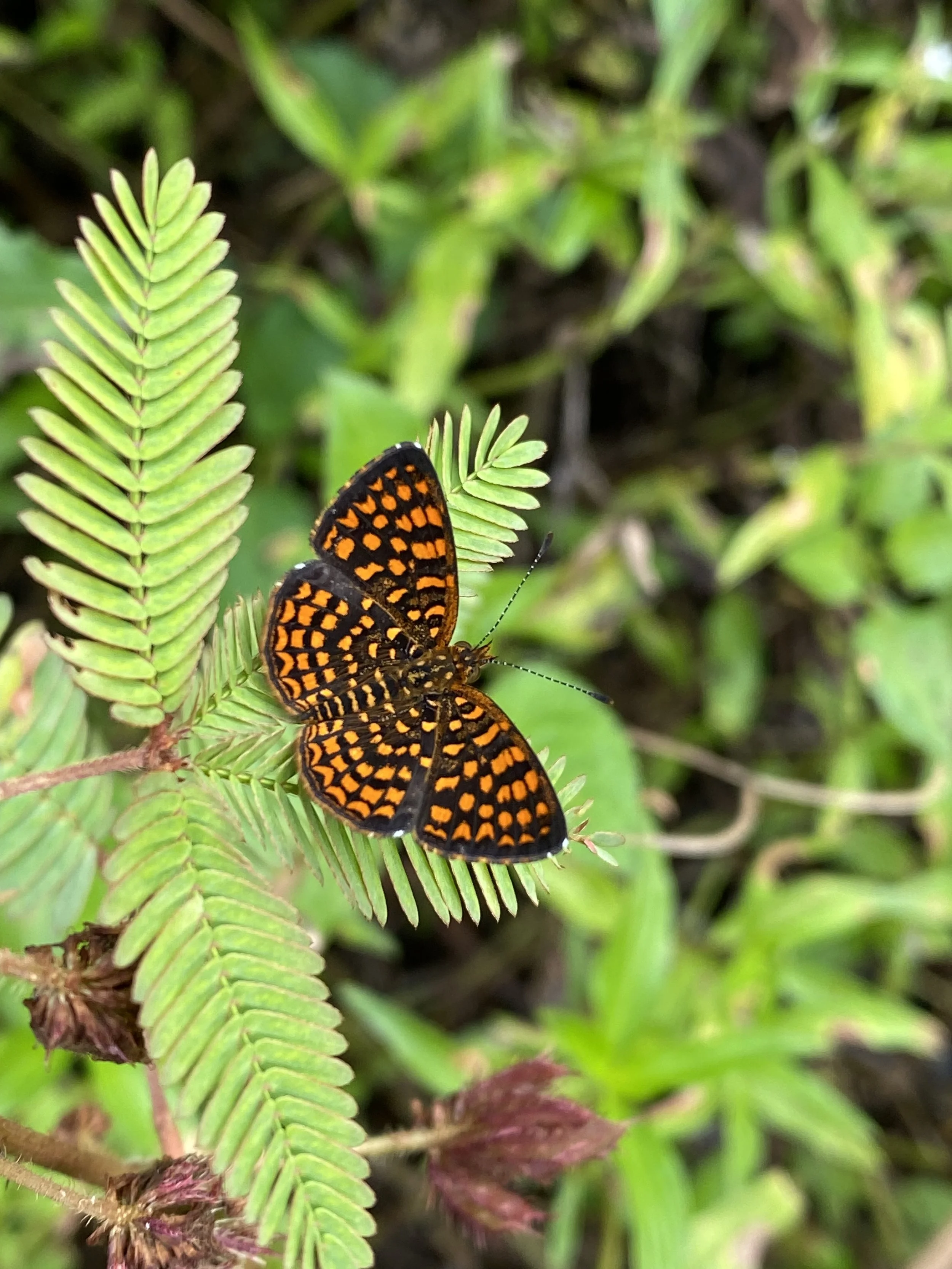 Eating Disorder Awareness Month: Making Space for Healing, Hope, and Whole-Person Care