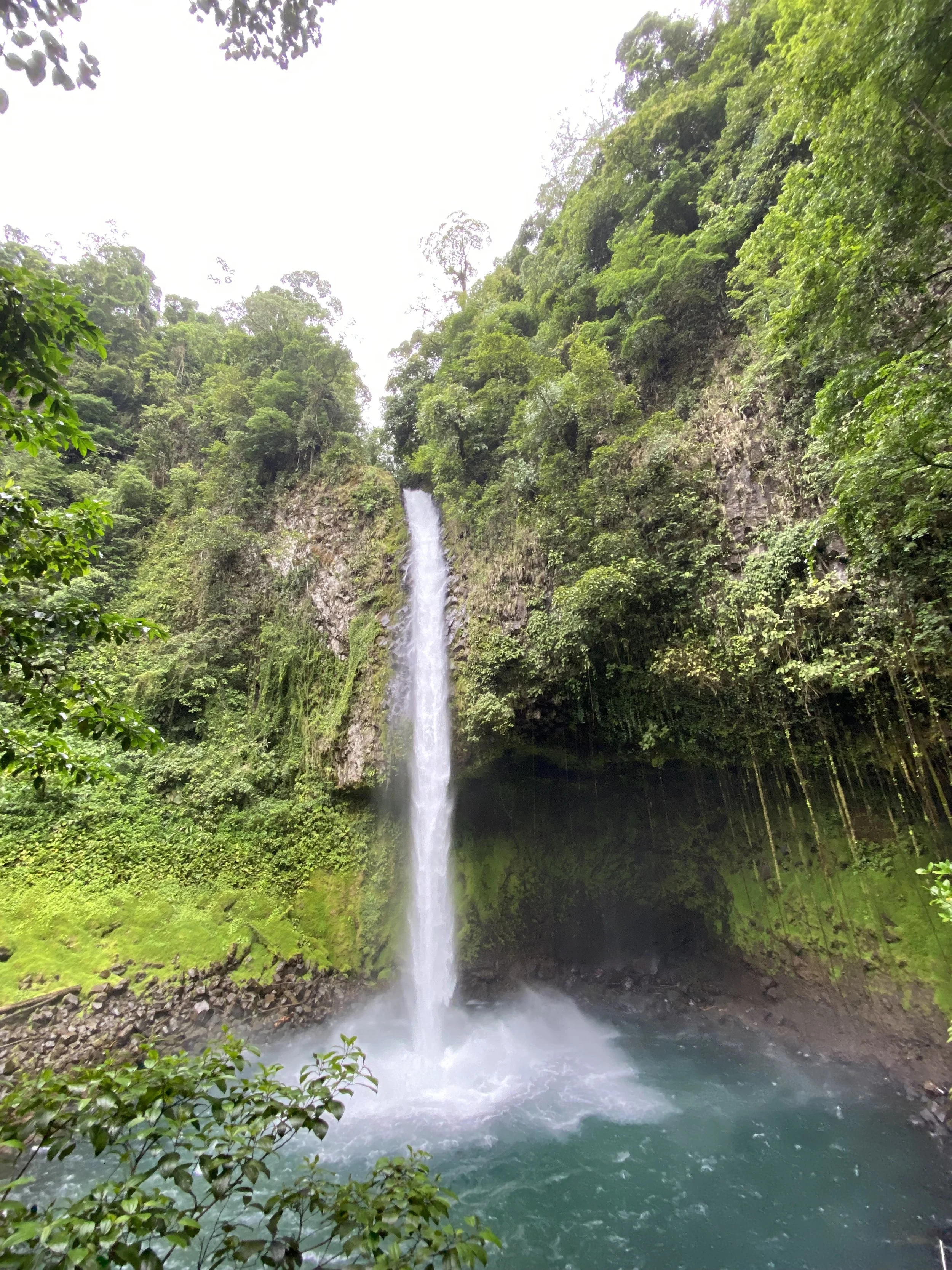 Common Reasons Referrals to Dietitians Get Delayed — And Why That Matters