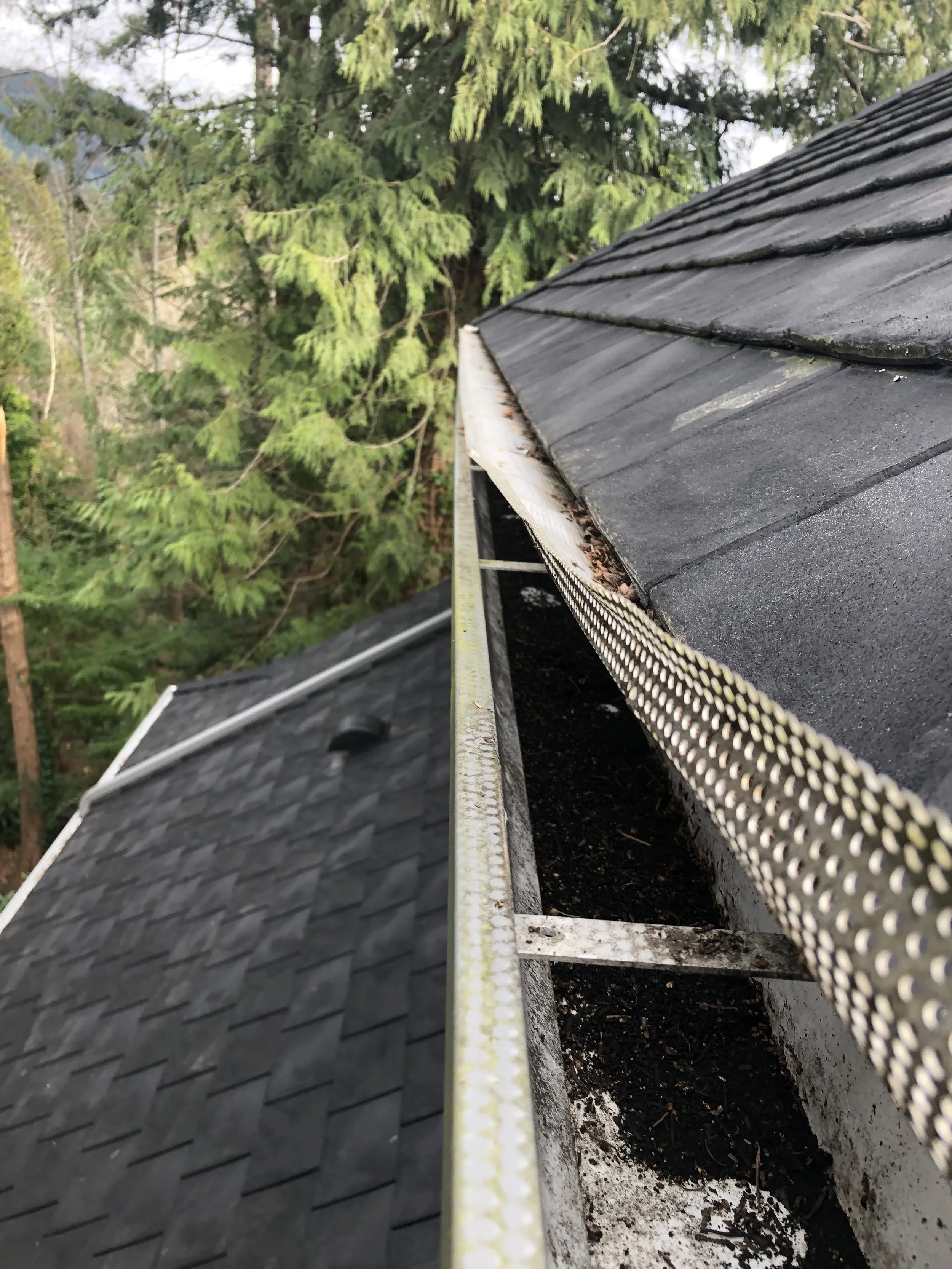 Gutter Cleaning and Gutter Guard Installation