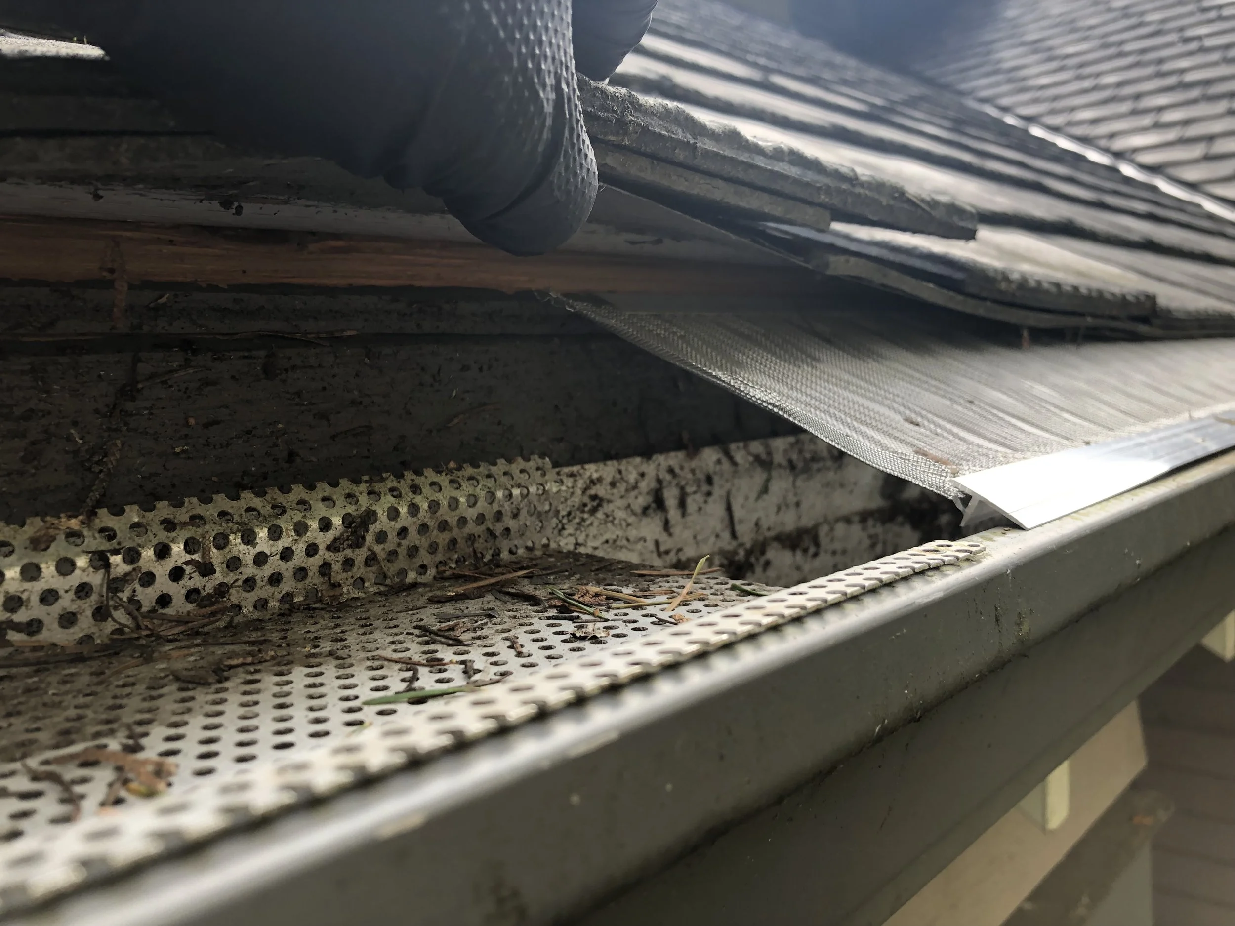 Gutter Cleaning and Gutter Guard Installation Vancouver