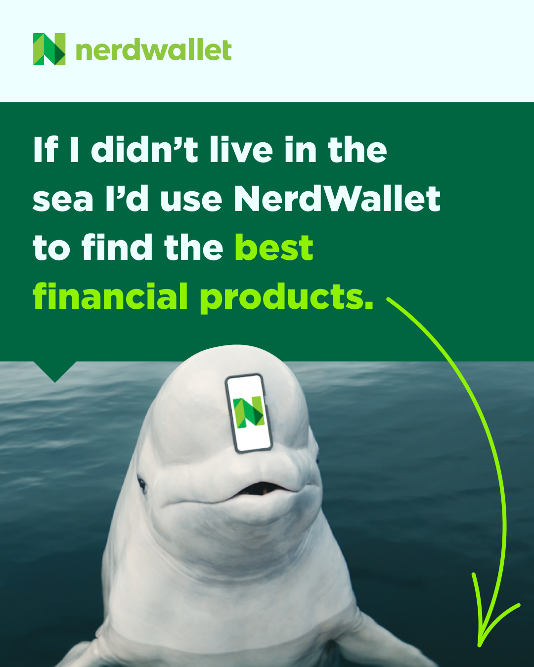 Reddit_Image_General_Whale(1).png
