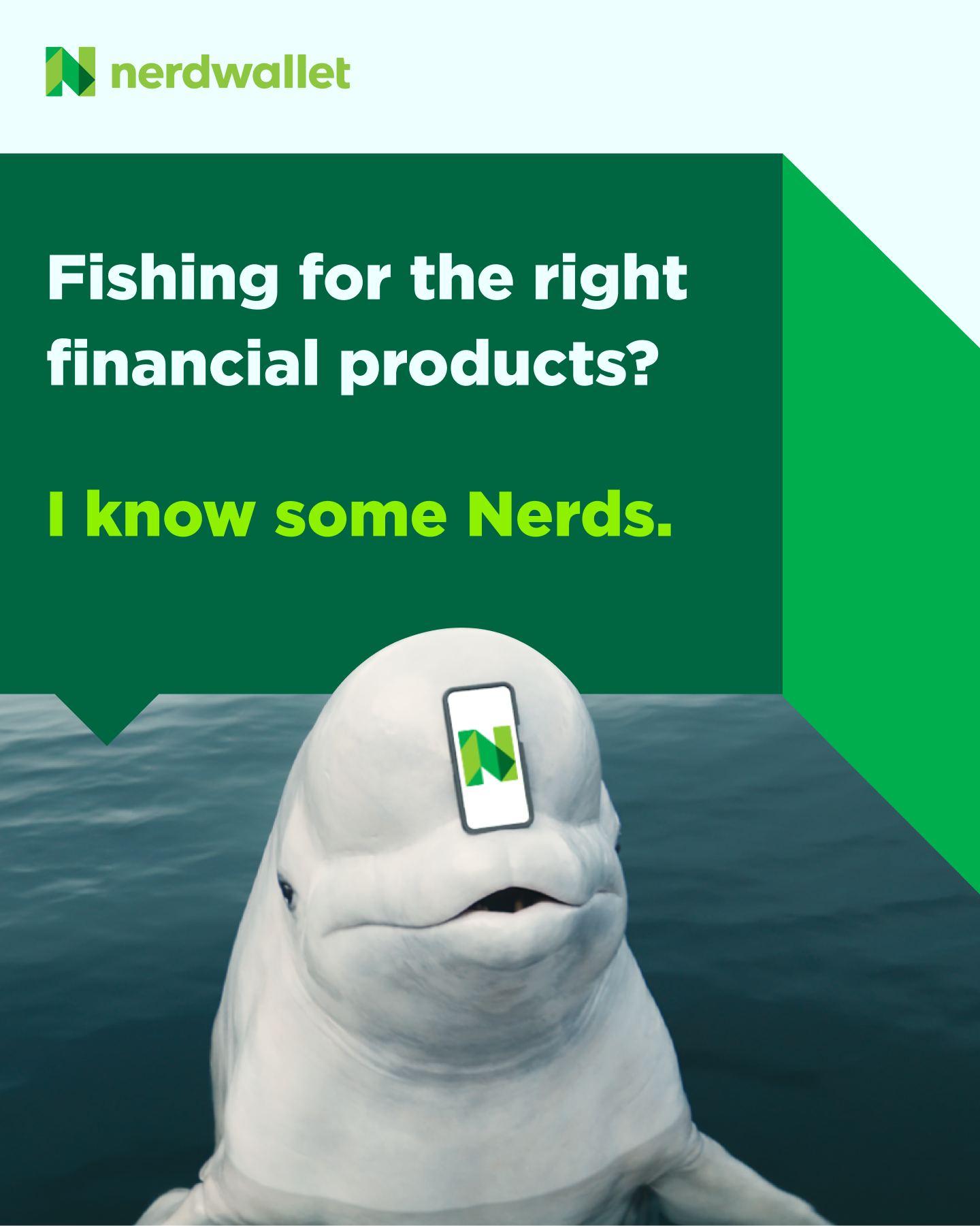 Meta_Image-Ad_General-Retargeting-Whale(1).png