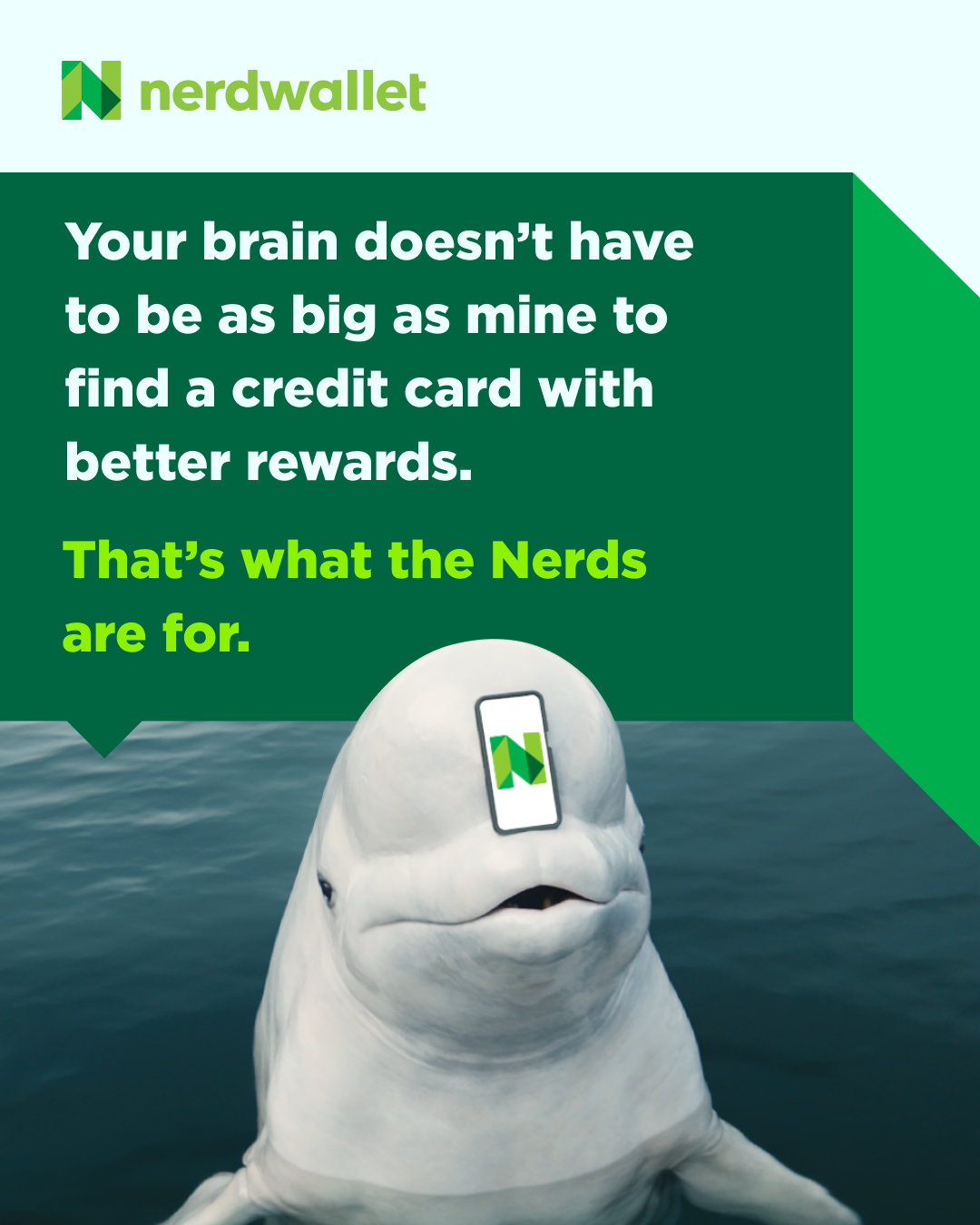 Reddit_Image_CC_Whale(1).png