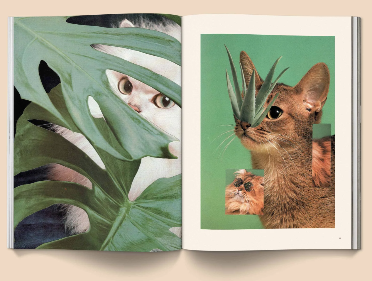 Screenshot 2025-11-09 at 5.32.38 PM.png