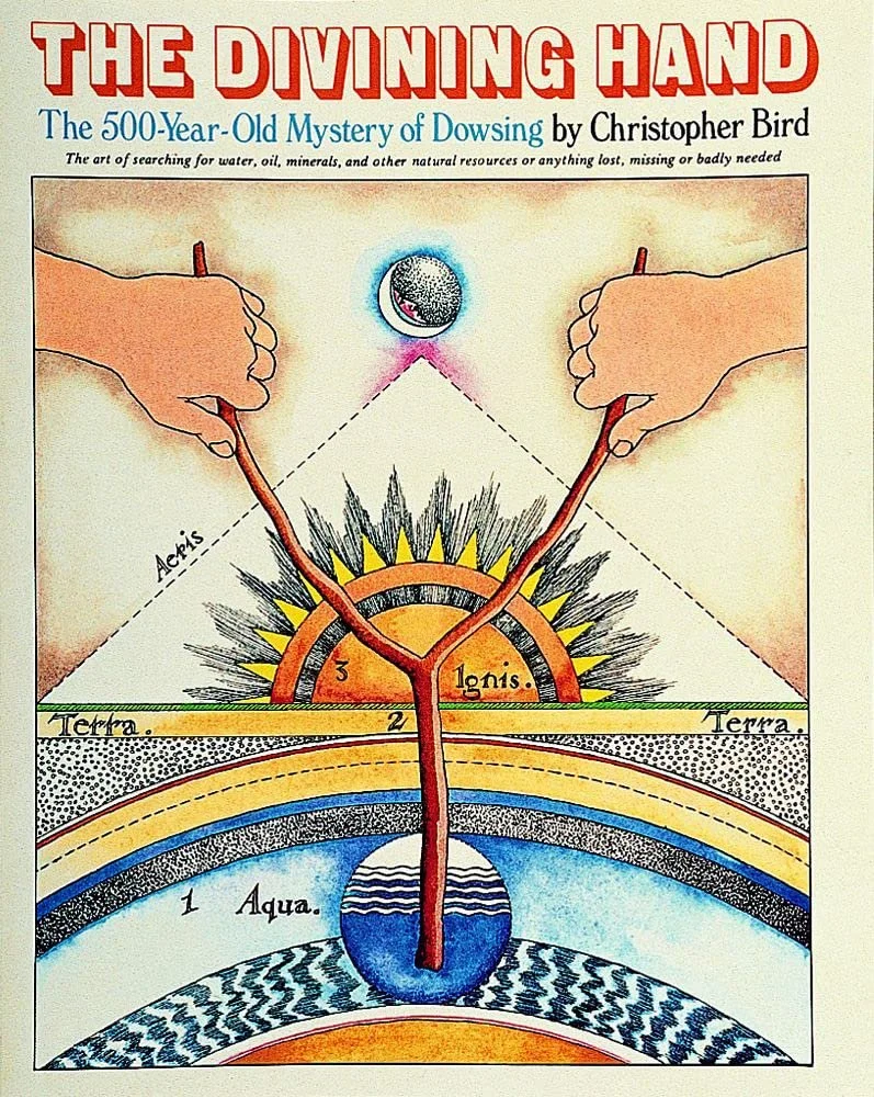 The Divining Hand : The 500 year-old Mystery of Dowsing