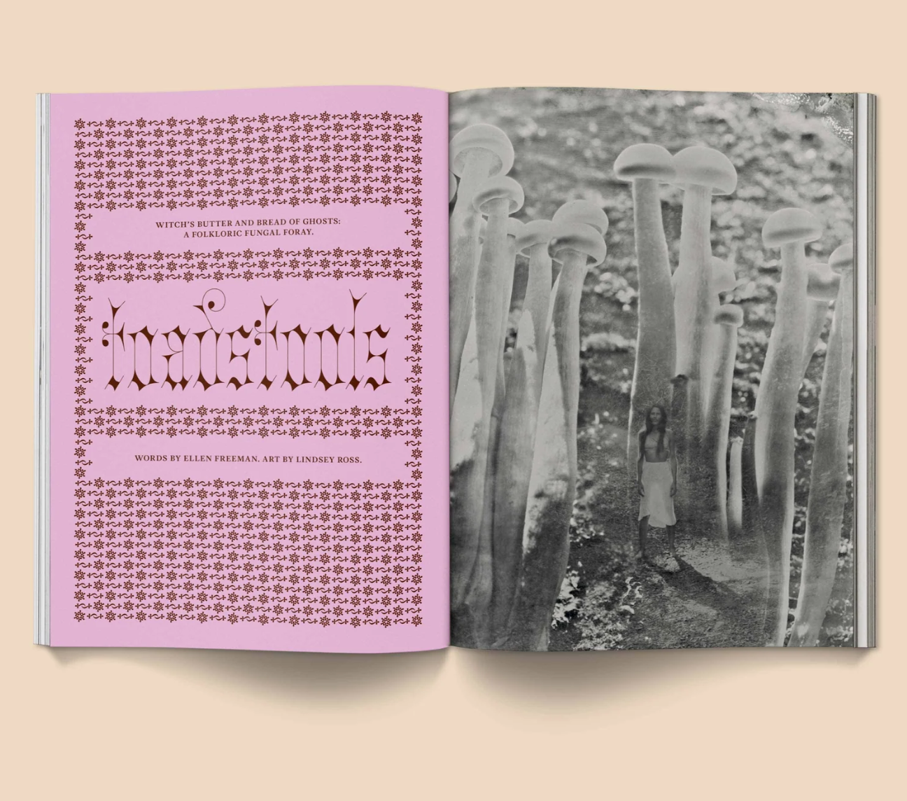 Screenshot 2025-11-09 at 5.40.16 PM.png