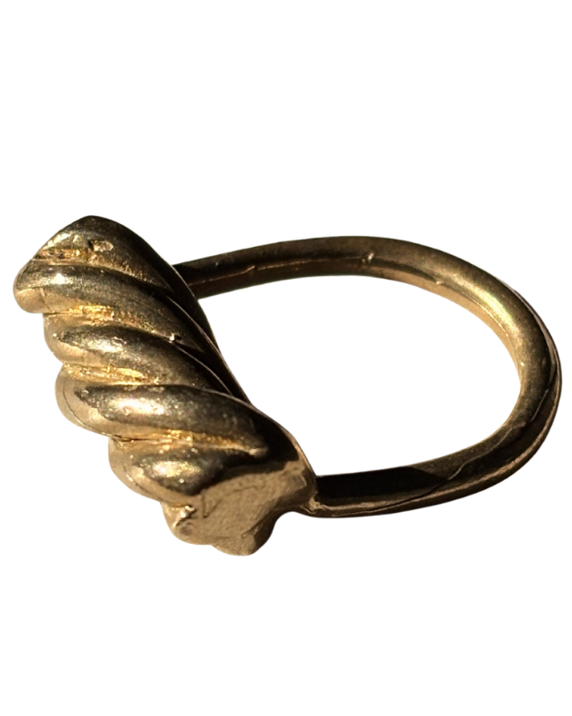 Screenshot 2026-03-05 at 4.23.59 PM.png