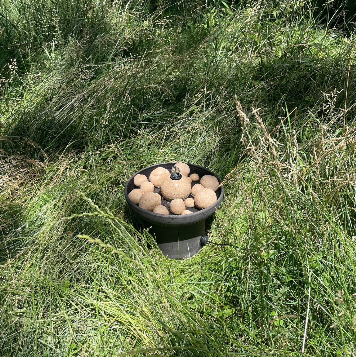 Screenshot 2025-09-02 at 2.26.05 PM.png