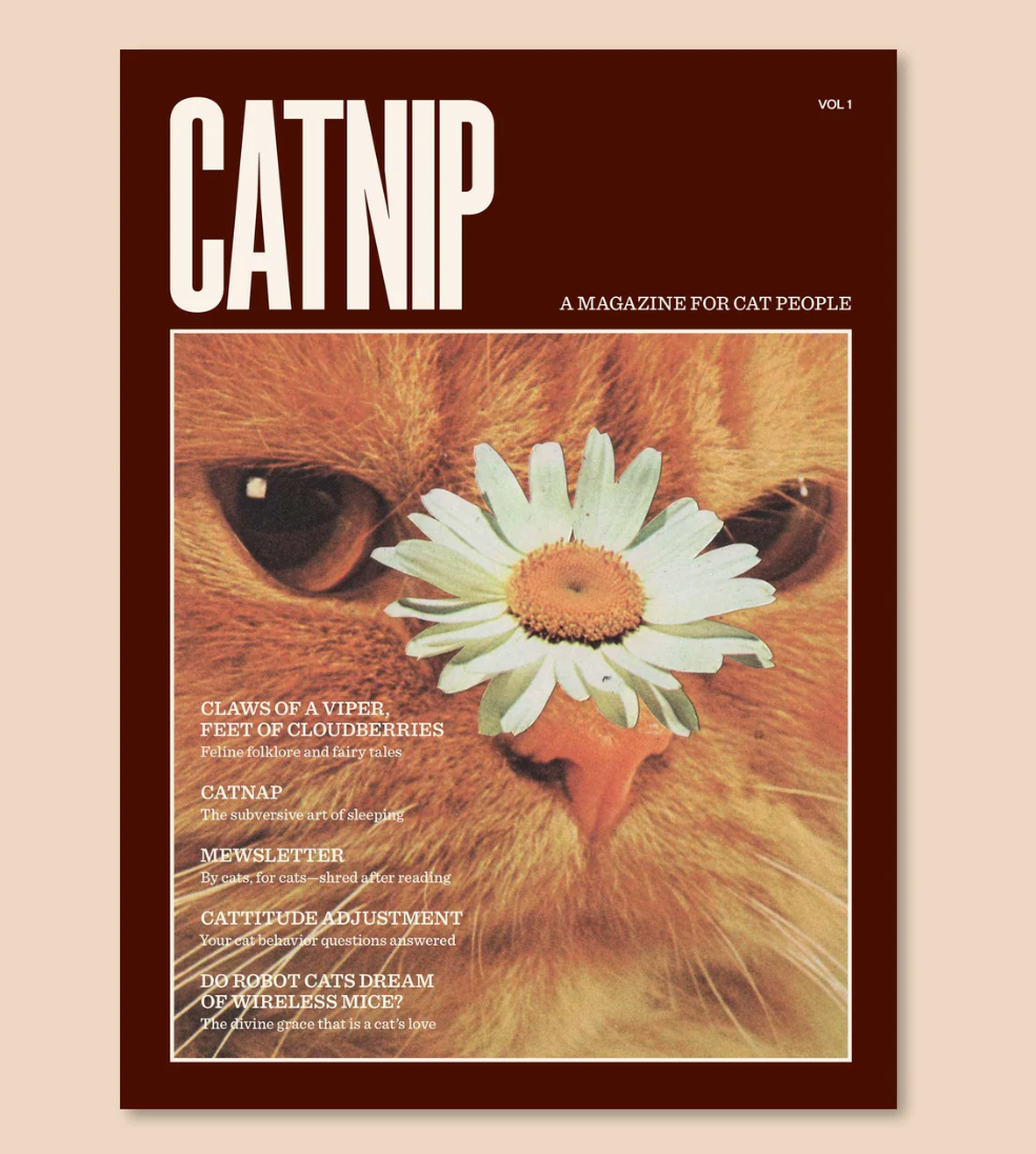 Screenshot 2025-11-09 at 5.32.17 PM.png