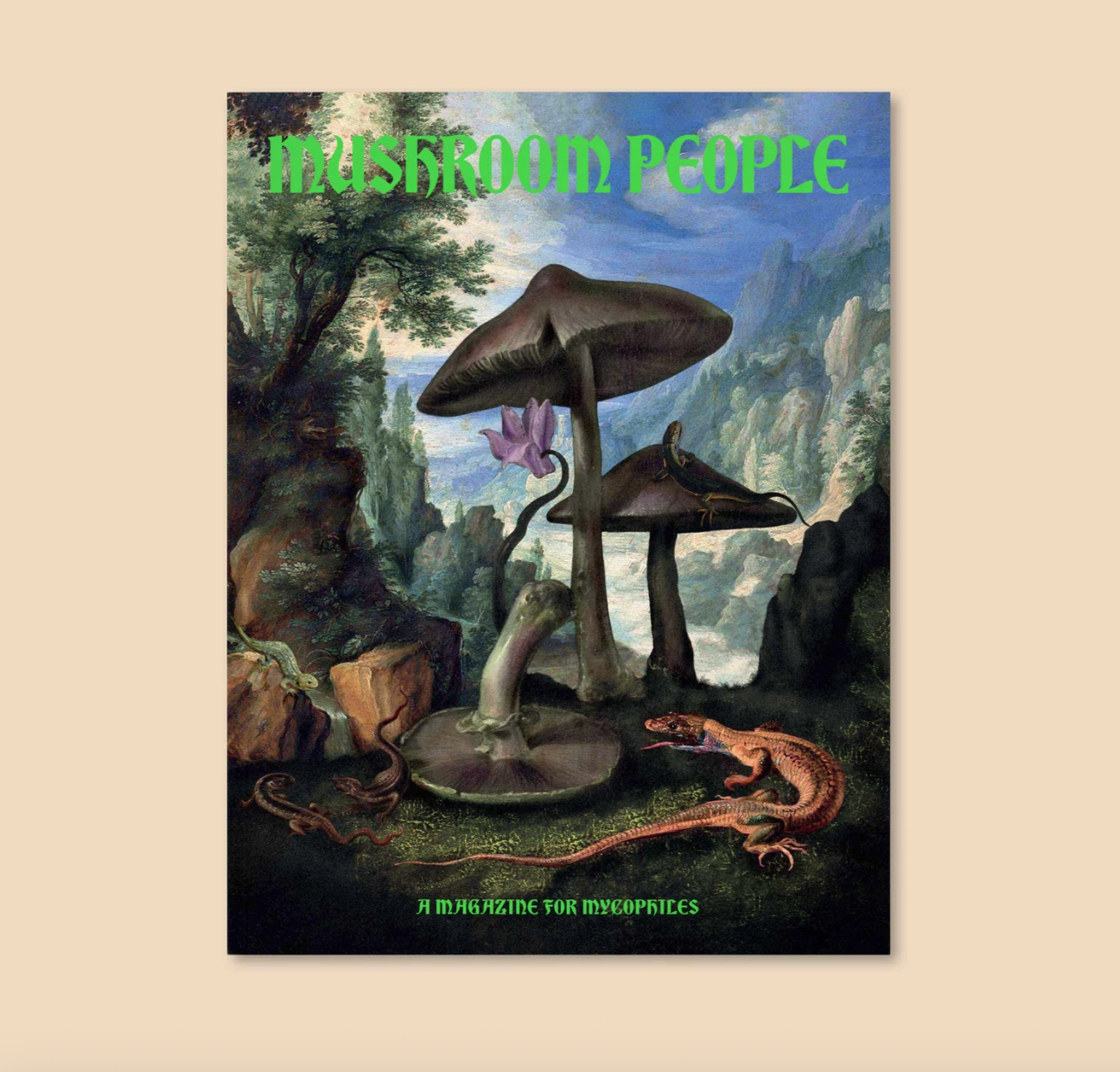 Screenshot 2025-11-09 at 5.39.57 PM.png