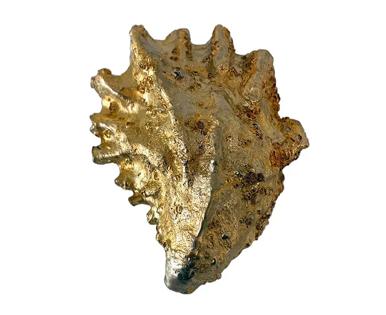 Unearthen Oyster Shell