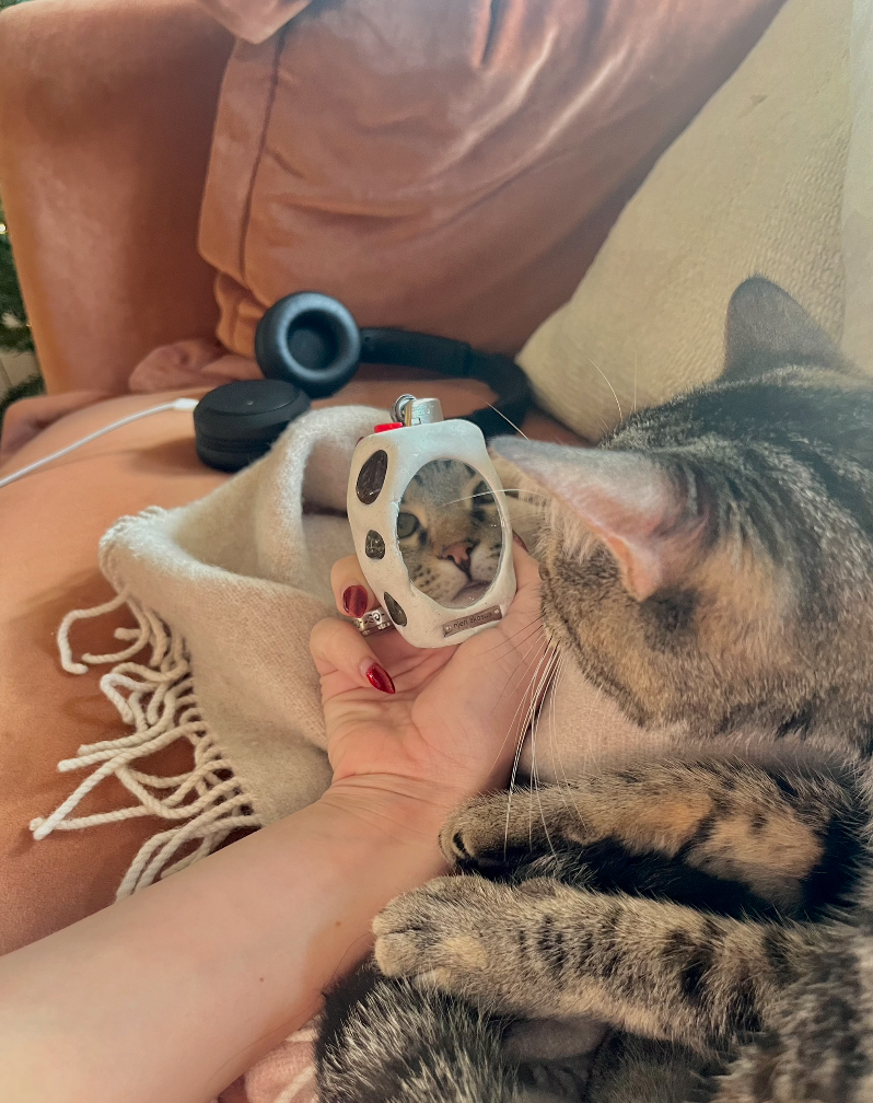 Screenshot 2025-12-17 at 10.13.39 AM.png