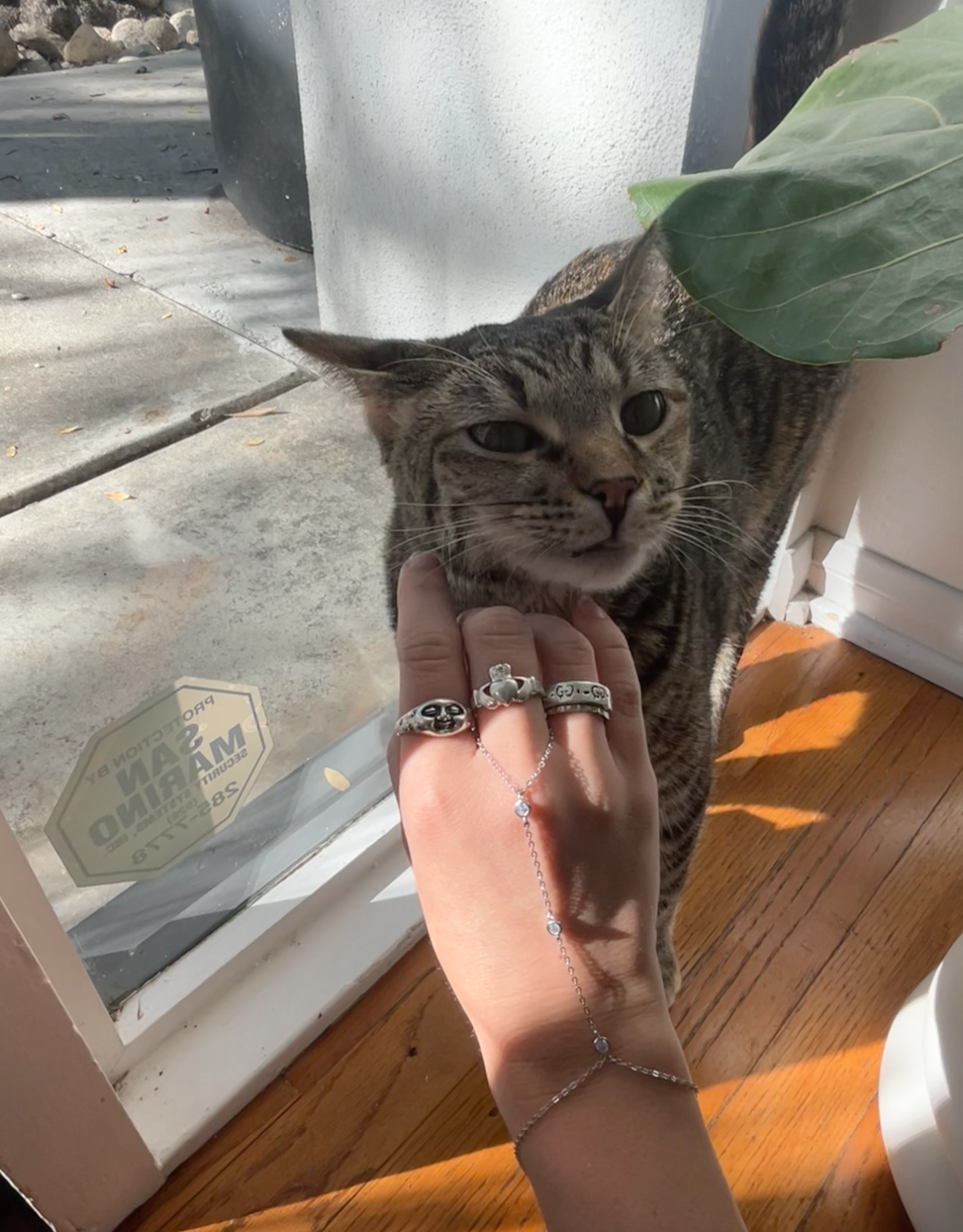 Screenshot 2025-11-10 at 1.43.08 PM.png