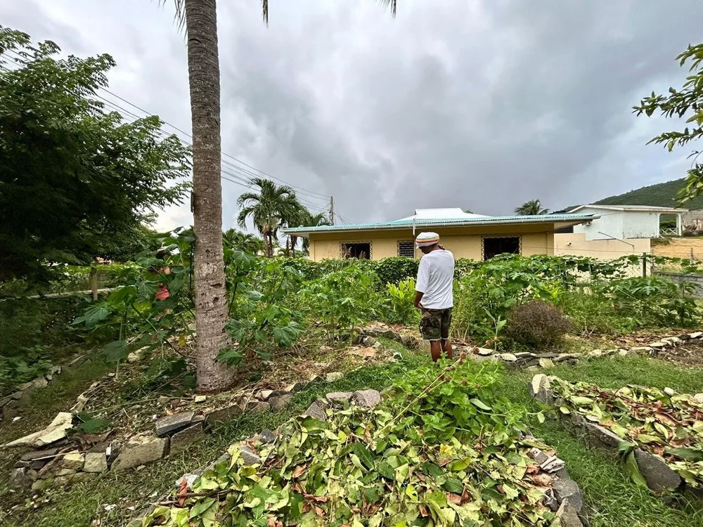 PHOTO-2024-10-03-01-13-30 2.jpg