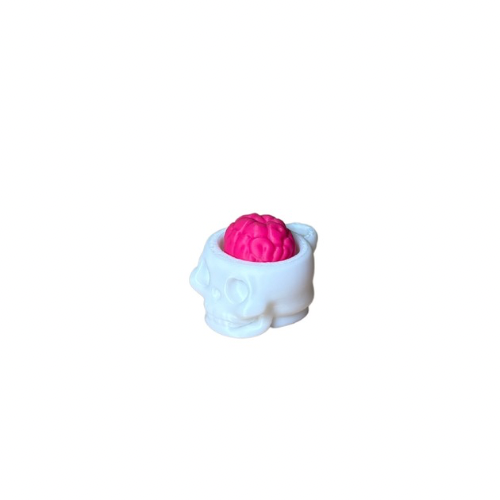 Skull and brain1.png